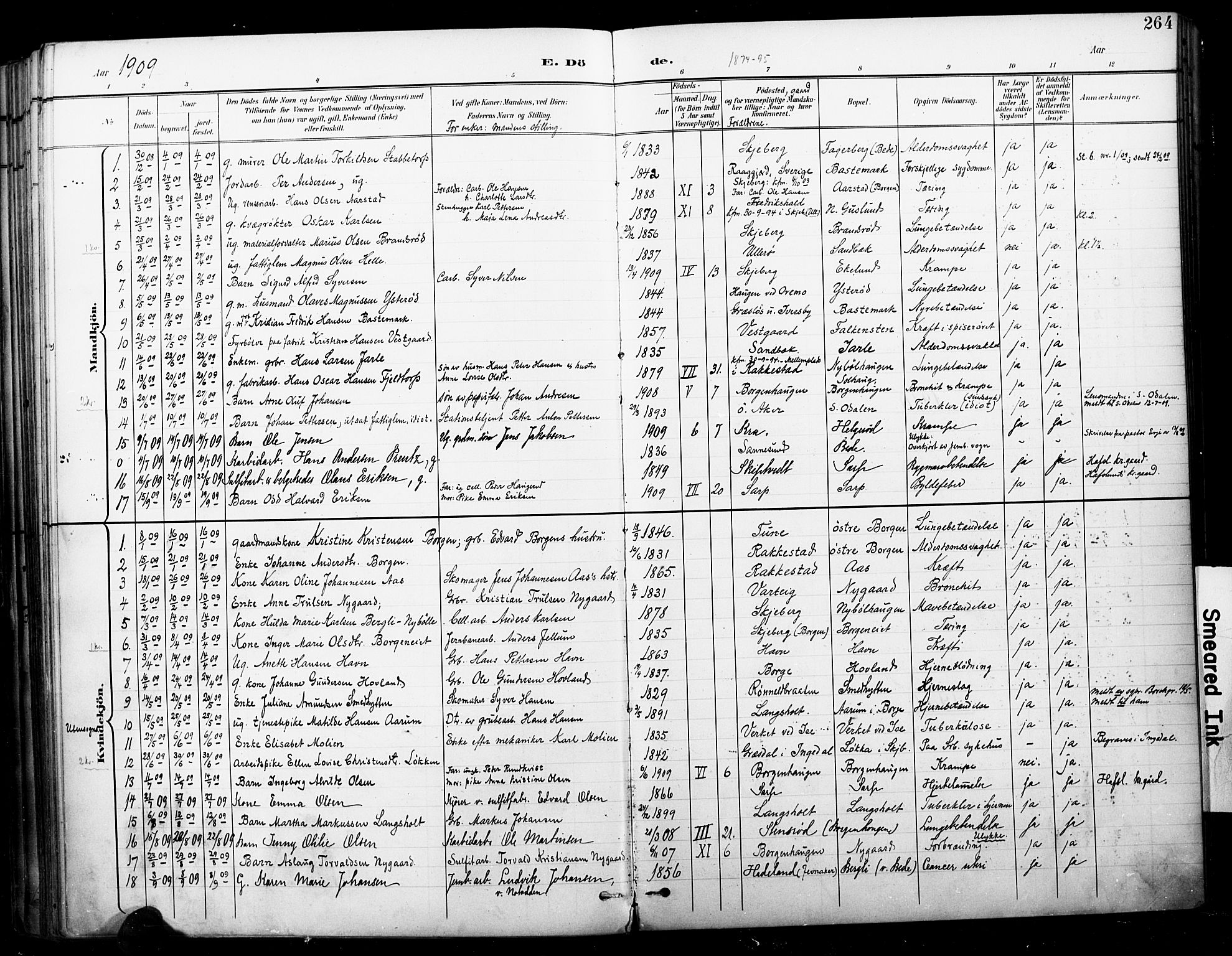 Skjeberg prestekontor Kirkebøker, SAO/A-10923/F/Fa/L0010: Parish register (official) no. I 10, 1898-1911, p. 264