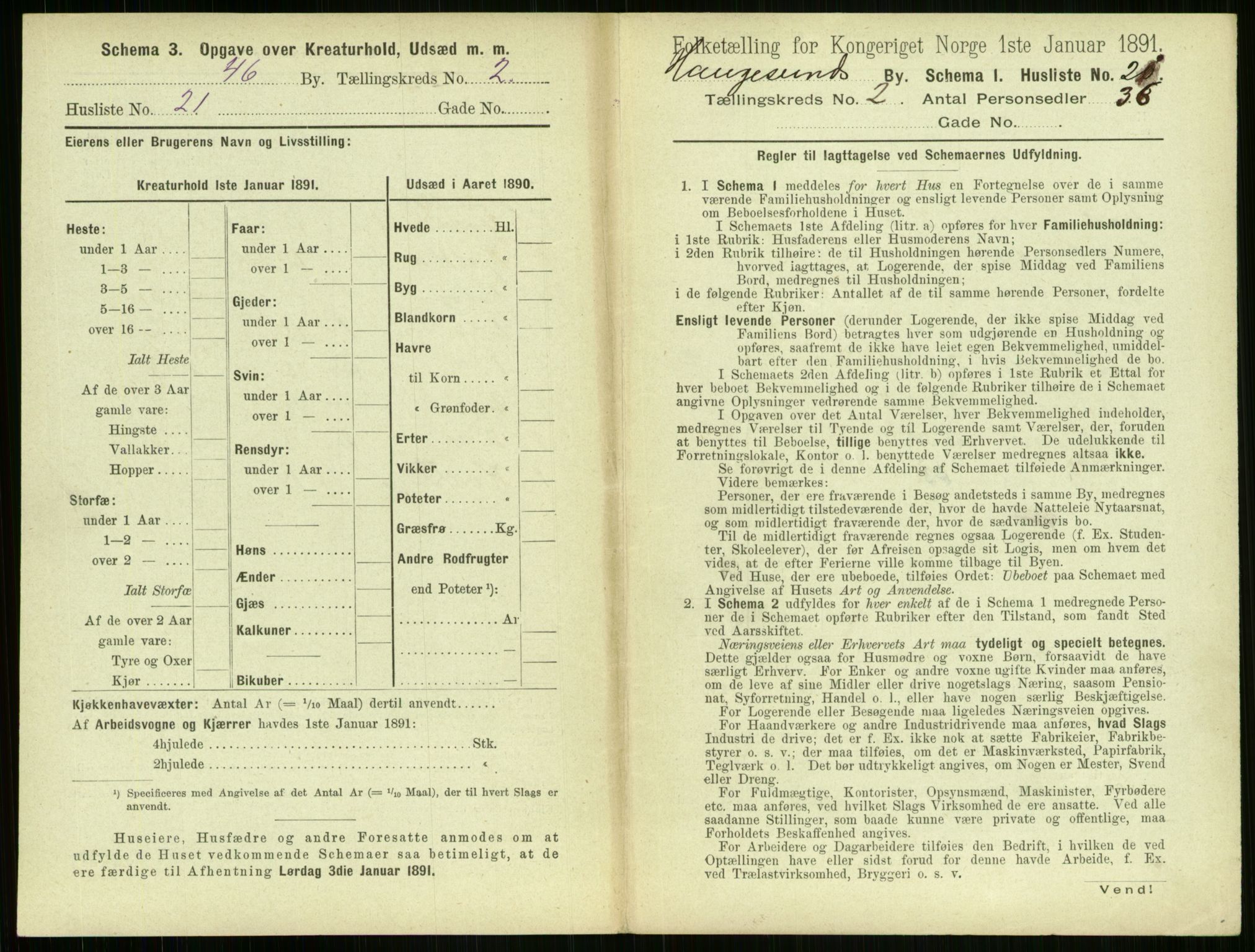 RA, 1891 census for 1106 Haugesund, 1891, p. 139