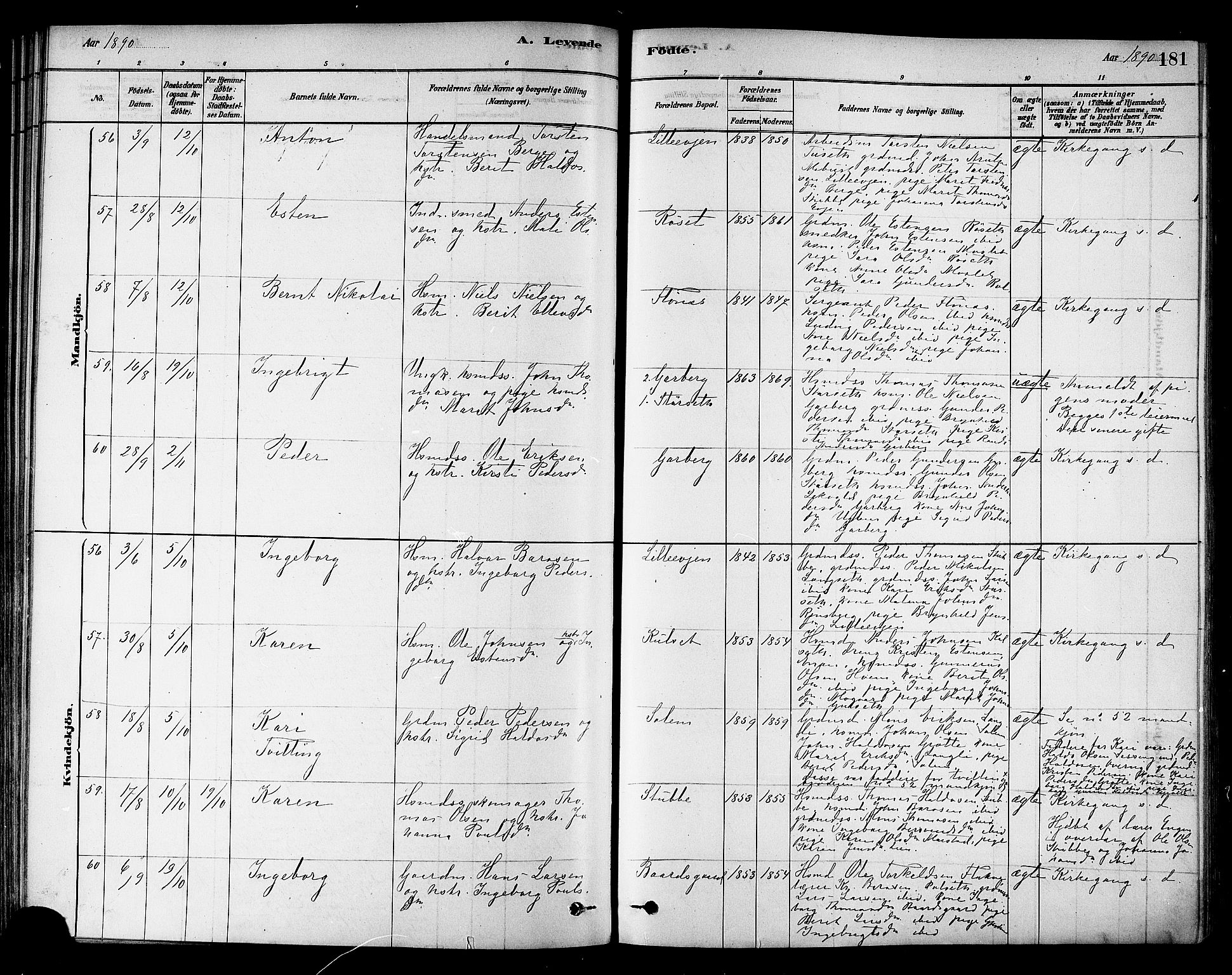 Ministerialprotokoller, klokkerbøker og fødselsregistre - Sør-Trøndelag, AV/SAT-A-1456/695/L1148: Parish register (official) no. 695A08, 1878-1891, p. 181