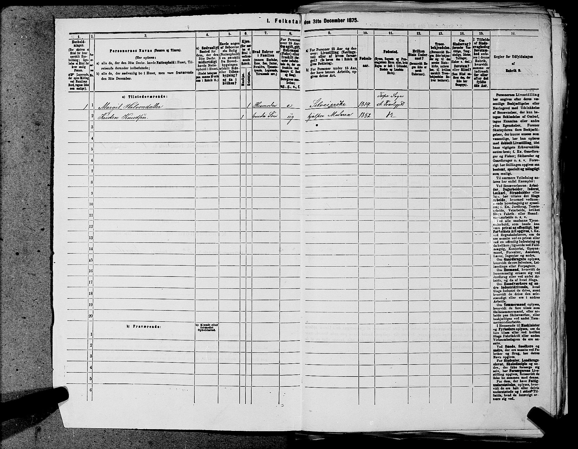 SAKO, 1875 census for 0619P Ål, 1875, p. 21