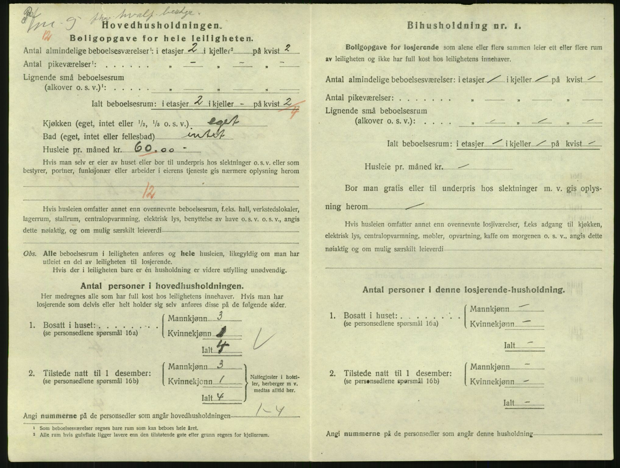 SAKO, 1920 census for Larvik, 1920, p. 6713