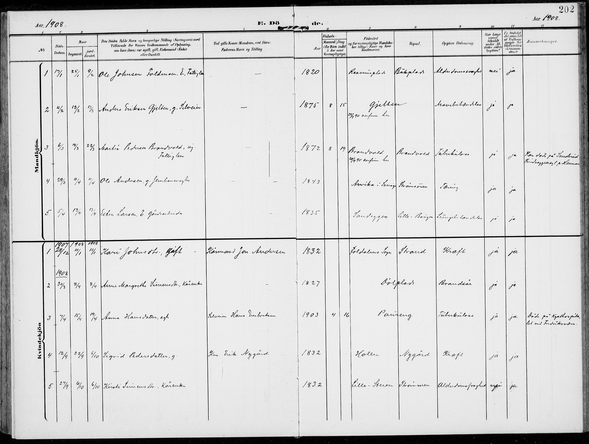 Alvdal prestekontor, SAH/PREST-060/H/Ha/Haa/L0004: Parish register (official) no. 4, 1907-1919, p. 202