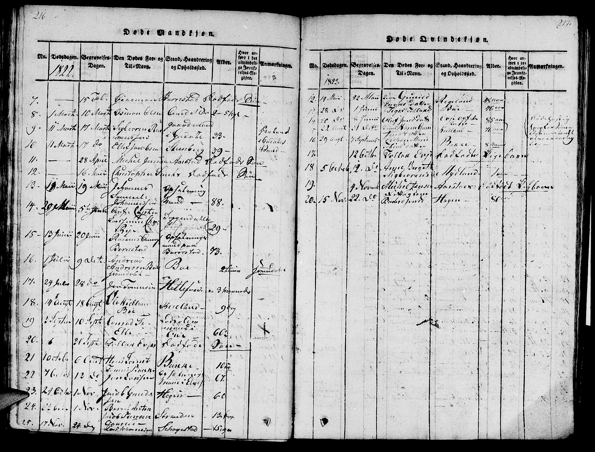 Sokndal sokneprestkontor, AV/SAST-A-101808: Parish register (official) no. A 6, 1815-1826, p. 216-217