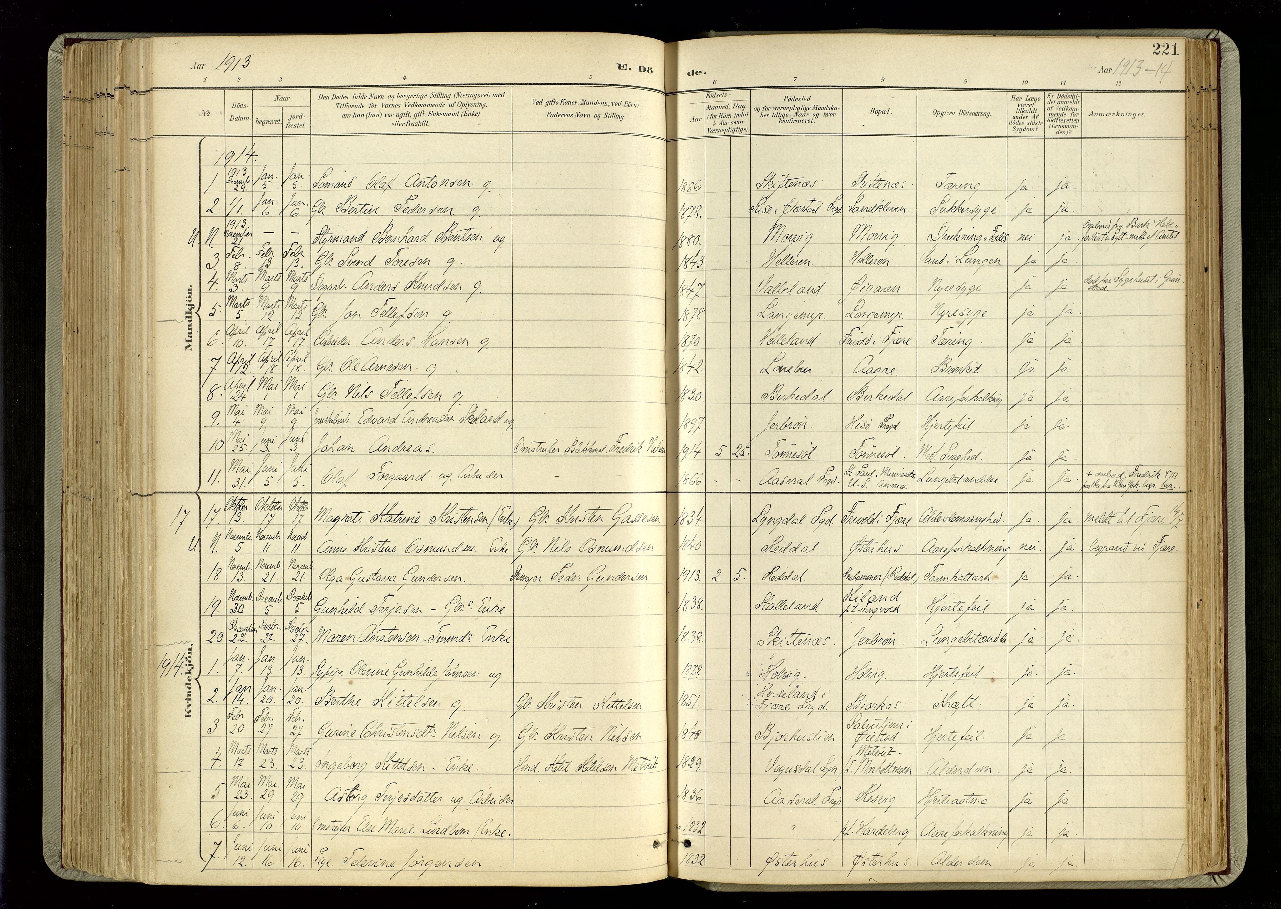 Hommedal sokneprestkontor, AV/SAK-1111-0023/F/Fa/Fab/L0007: Parish register (official) no. A 7, 1898-1924, p. 221