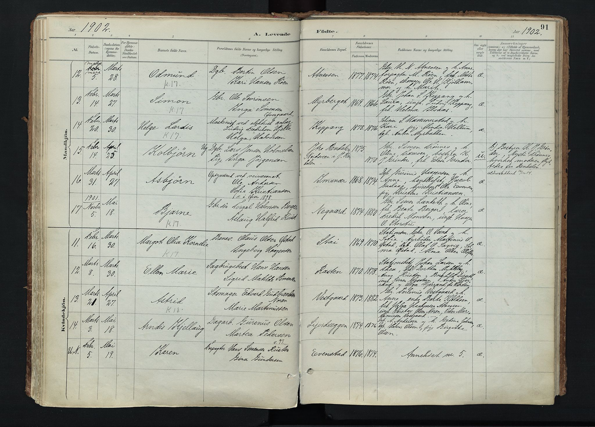 Stor-Elvdal prestekontor, AV/SAH-PREST-052/H/Ha/Haa/L0004: Parish register (official) no. 4, 1890-1922, p. 91