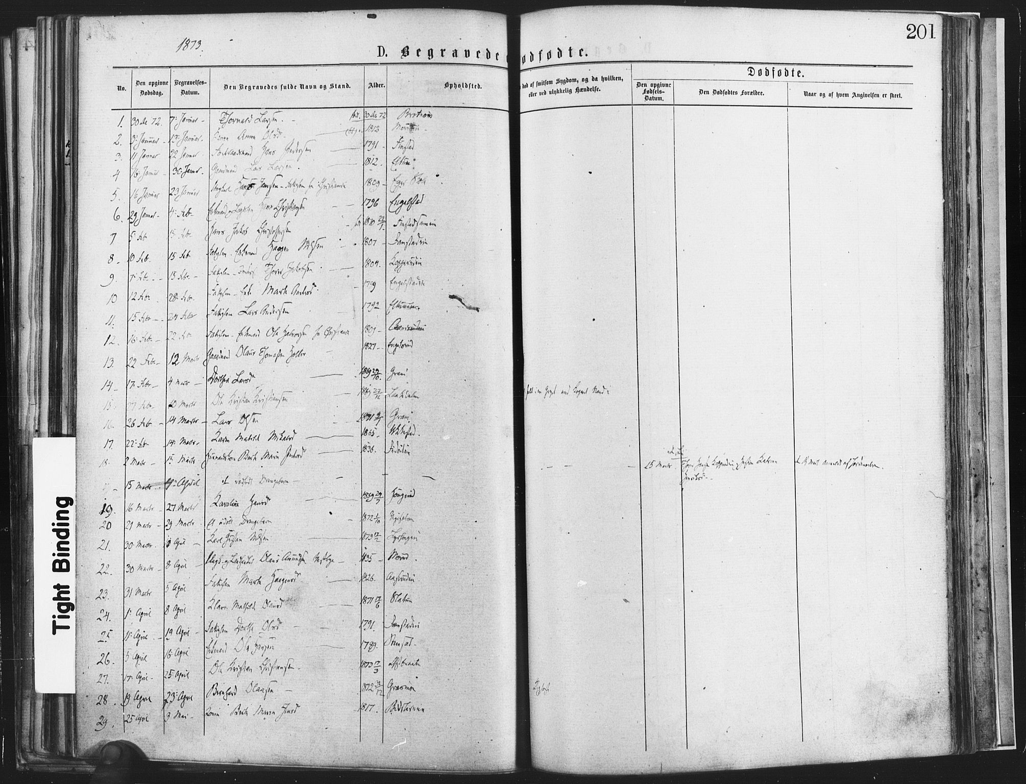 Nannestad prestekontor Kirkebøker, SAO/A-10414a/F/Fa/L0013: Parish register (official) no. I 13, 1873-1880, p. 201