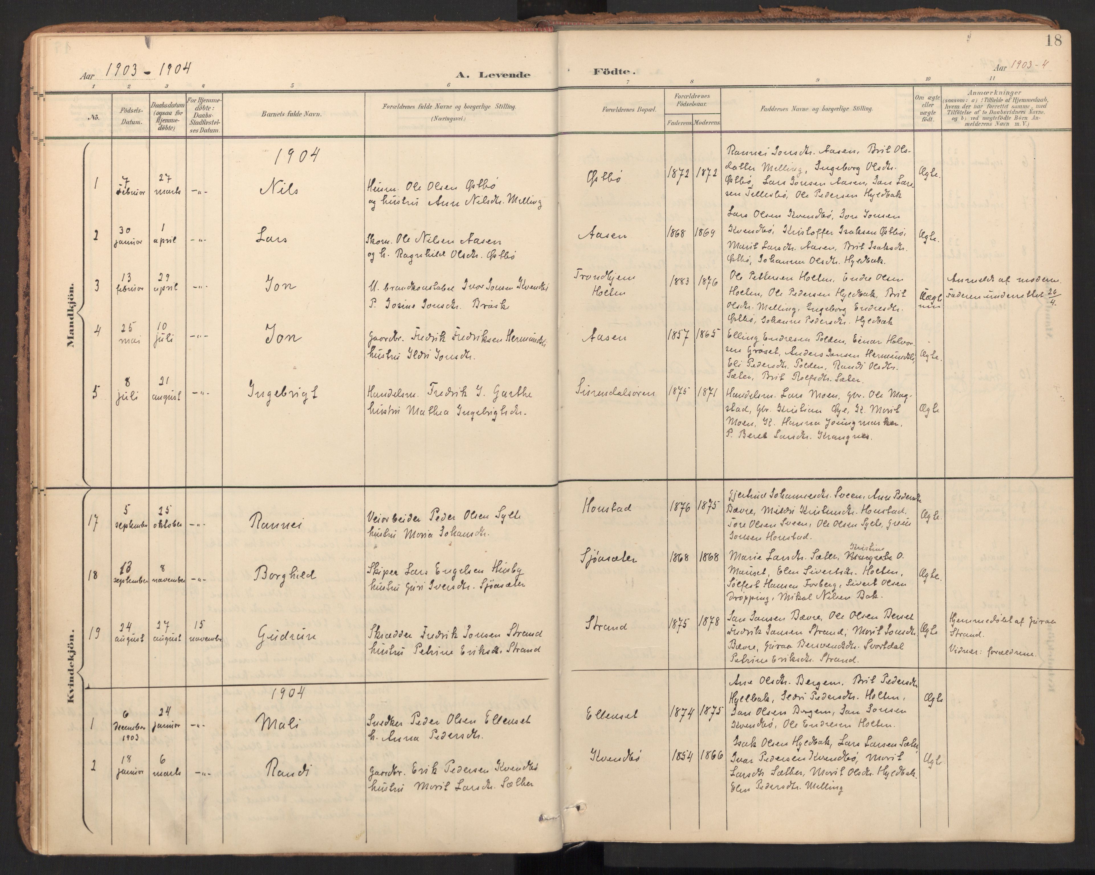 Ministerialprotokoller, klokkerbøker og fødselsregistre - Møre og Romsdal, SAT/A-1454/596/L1057: Parish register (official) no. 596A02, 1900-1917, p. 18