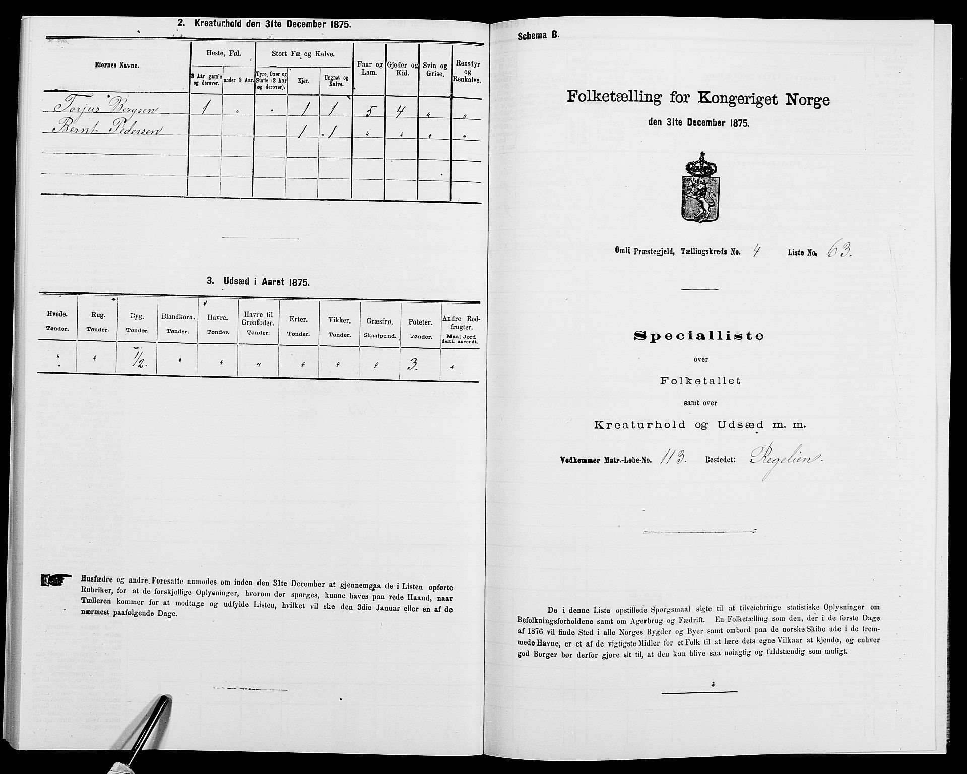 SAK, 1875 census for 0929P Åmli, 1875, p. 389