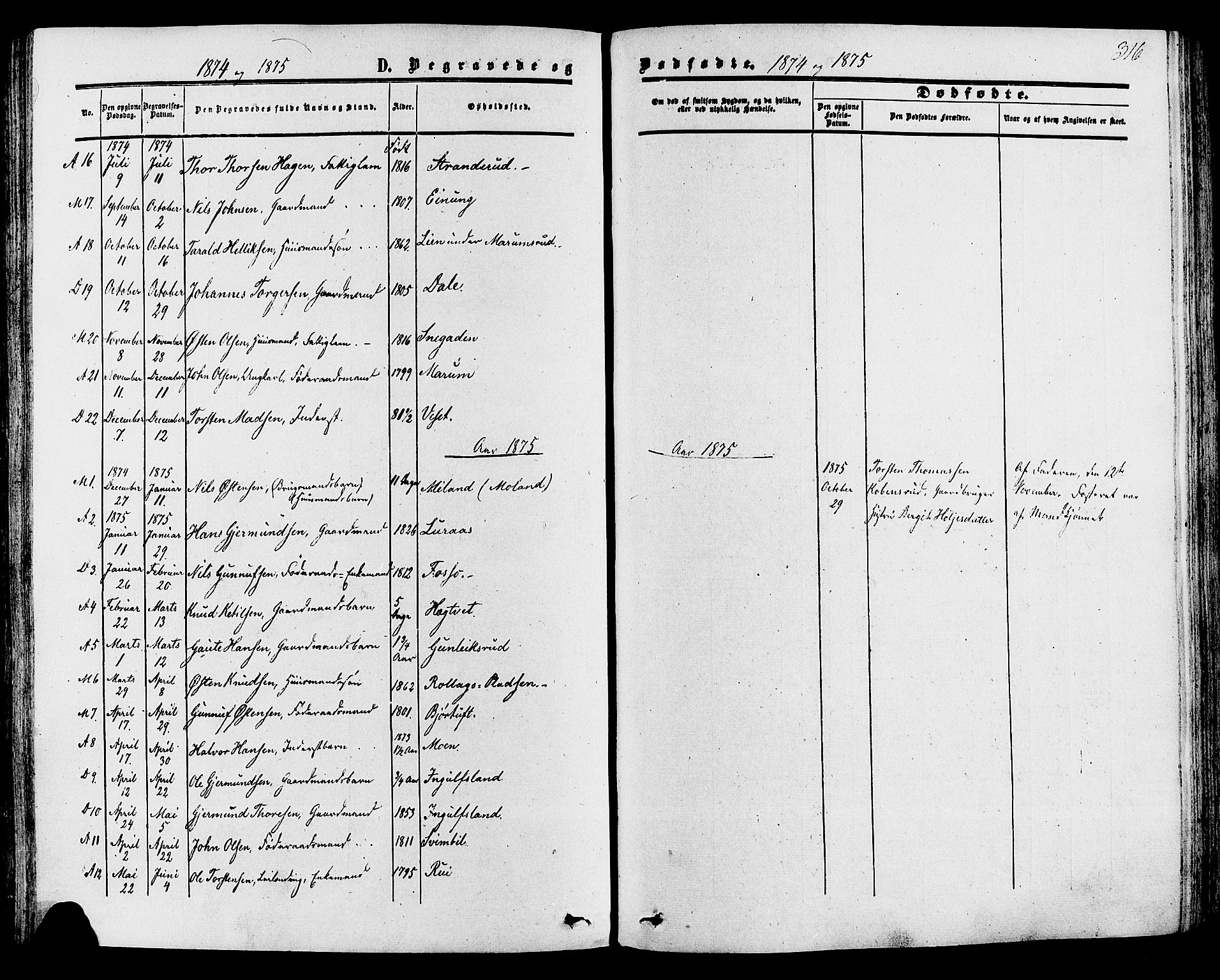 Tinn kirkebøker, SAKO/A-308/F/Fa/L0006: Parish register (official) no. I 6, 1857-1878, p. 316