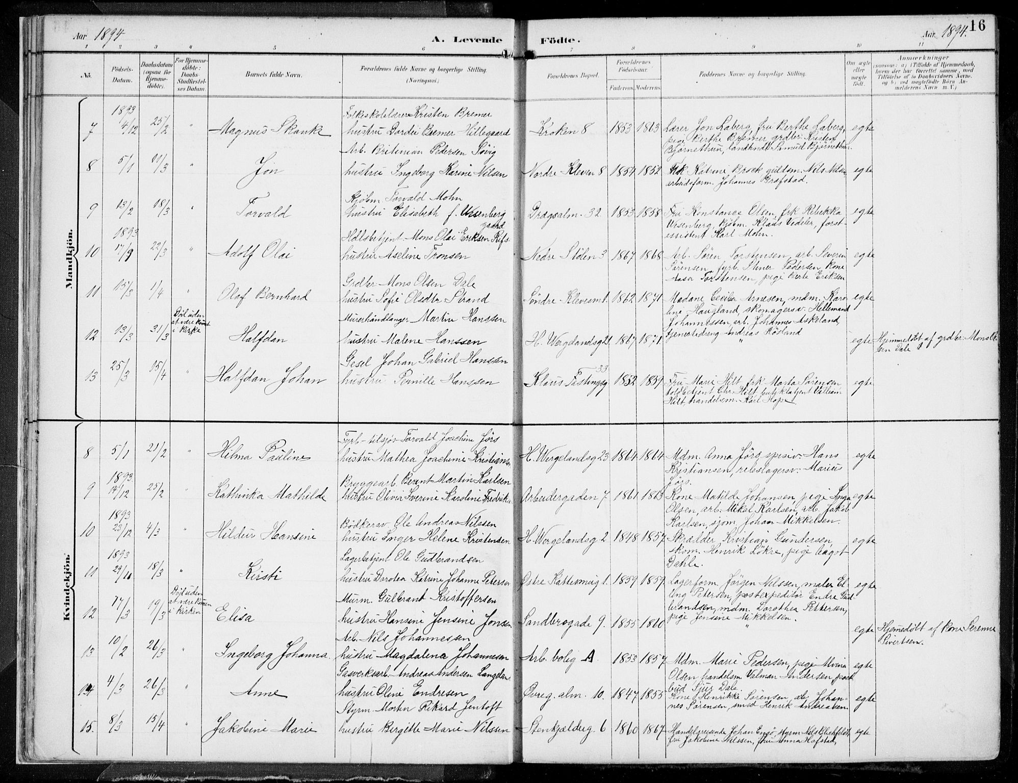 Mariakirken Sokneprestembete, AV/SAB-A-76901/H/Hab/L0005: Parish register (copy) no. A 5, 1893-1913, p. 16