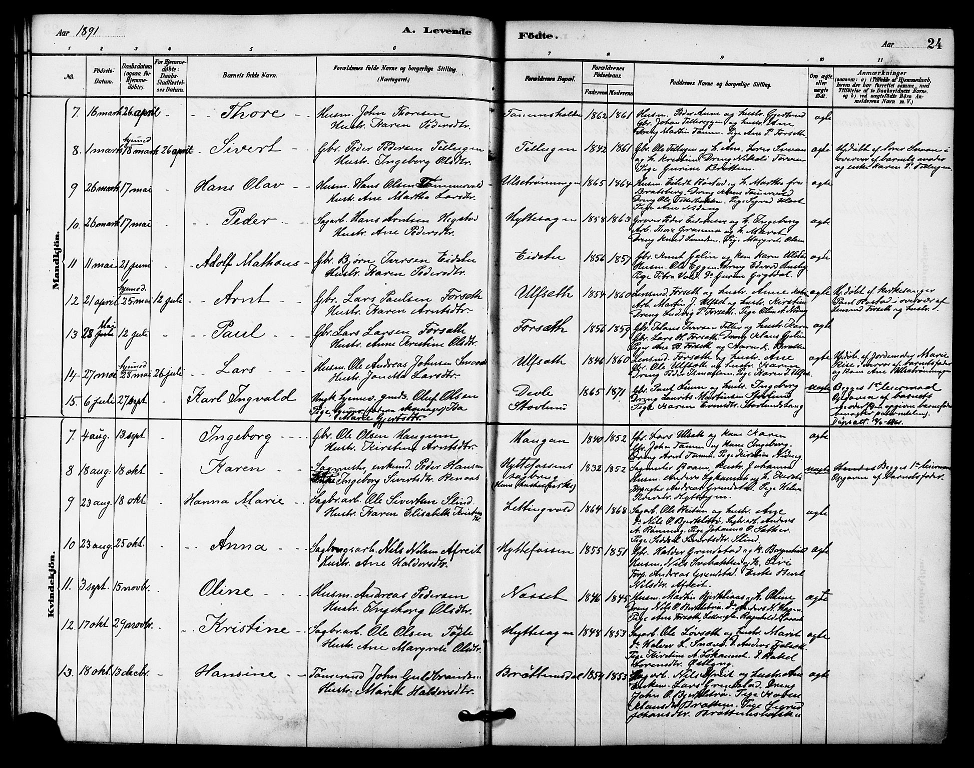 Ministerialprotokoller, klokkerbøker og fødselsregistre - Sør-Trøndelag, SAT/A-1456/618/L0444: Parish register (official) no. 618A07, 1880-1898, p. 24