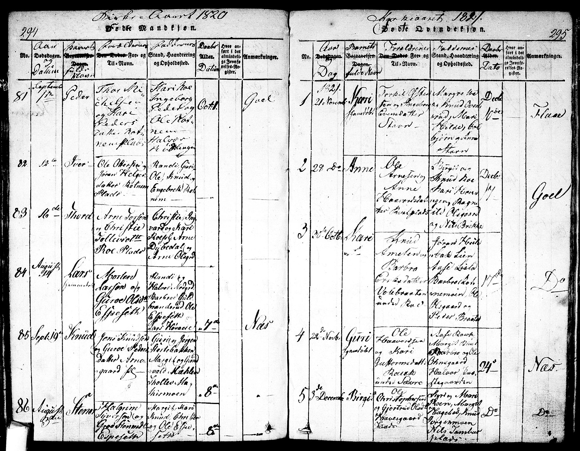 Nes kirkebøker, AV/SAKO-A-236/F/Fa/L0007: Parish register (official) no. 7, 1815-1823, p. 294-295