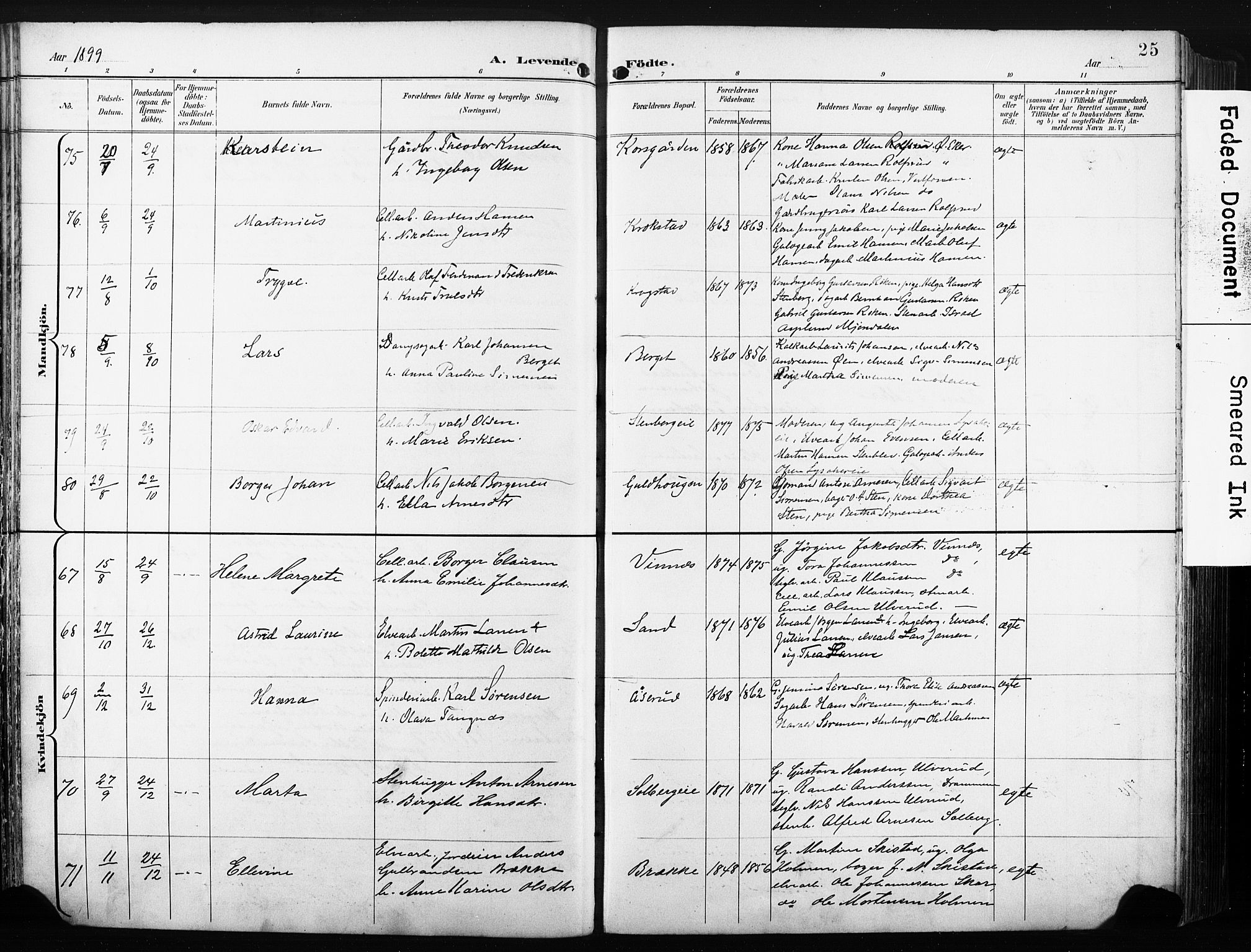 Nedre Eiker kirkebøker, AV/SAKO-A-612/F/Fa/L0005: Parish register (official) no. 5, 1898-1905, p. 25