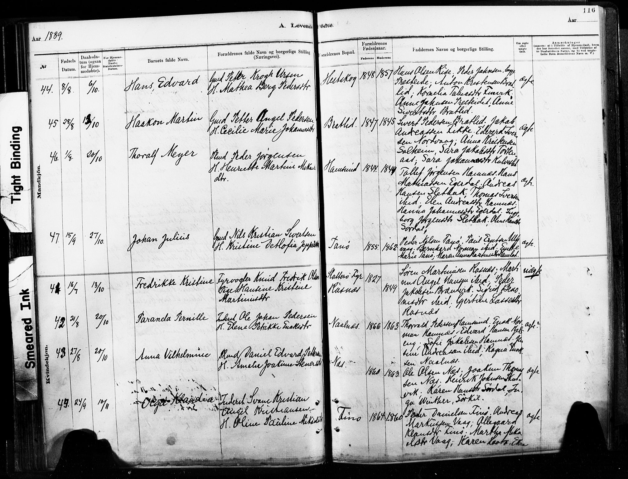 Ministerialprotokoller, klokkerbøker og fødselsregistre - Nordland, AV/SAT-A-1459/859/L0846: Parish register (official) no. 859A06, 1878-1889, p. 116