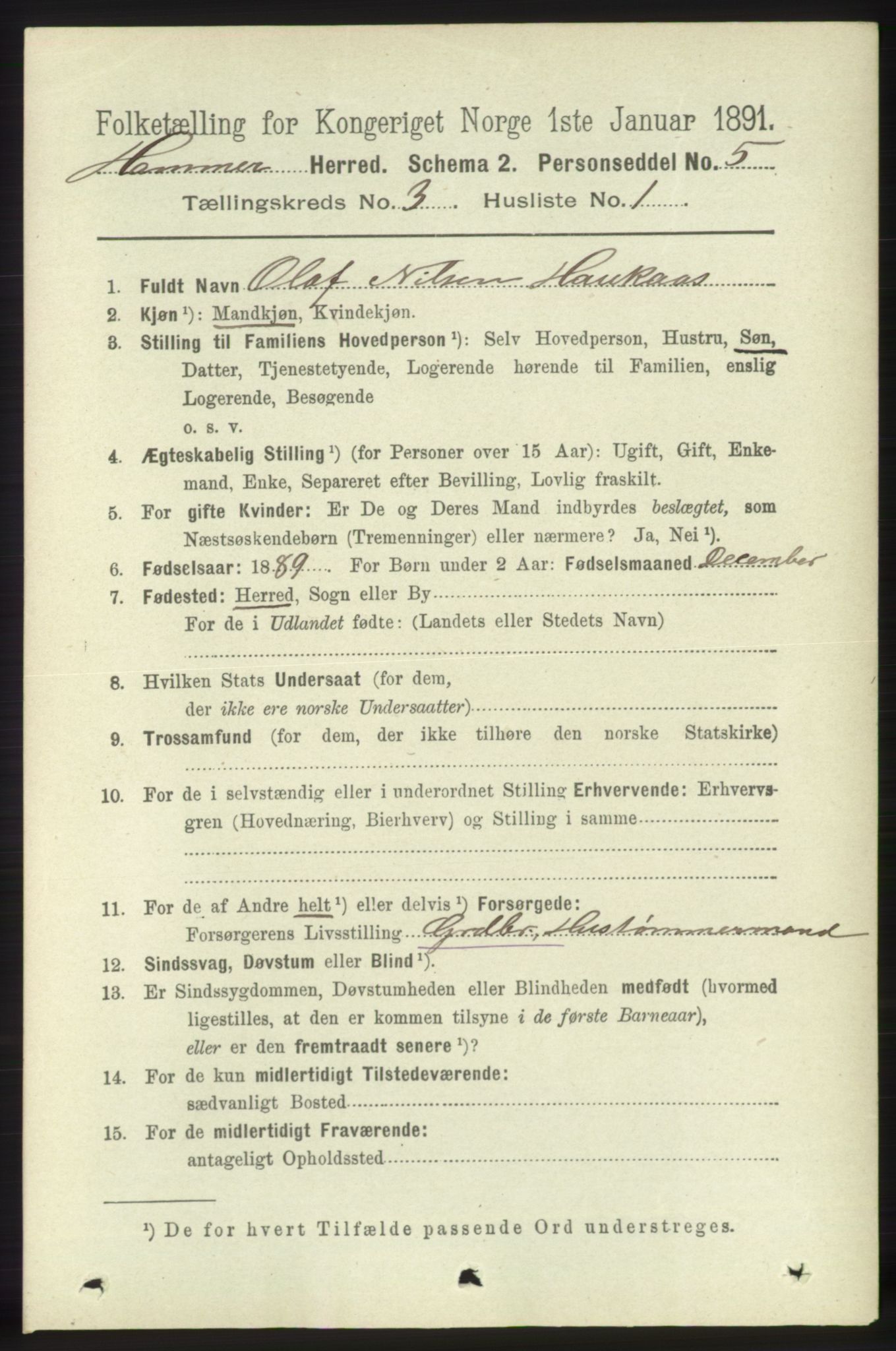 RA, 1891 census for 1254 Hamre, 1891, p. 538