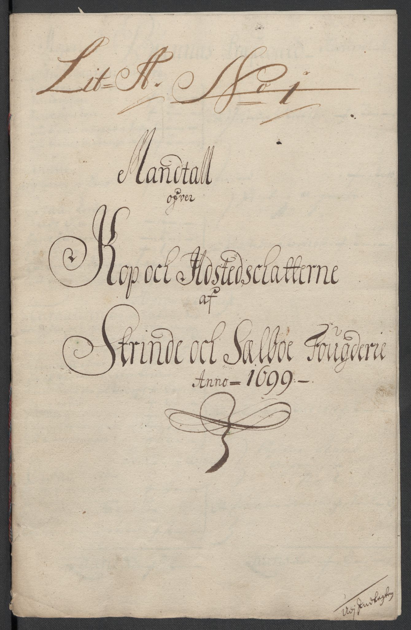 Rentekammeret inntil 1814, Reviderte regnskaper, Fogderegnskap, RA/EA-4092/R61/L4107: Fogderegnskap Strinda og Selbu, 1698-1700, p. 202
