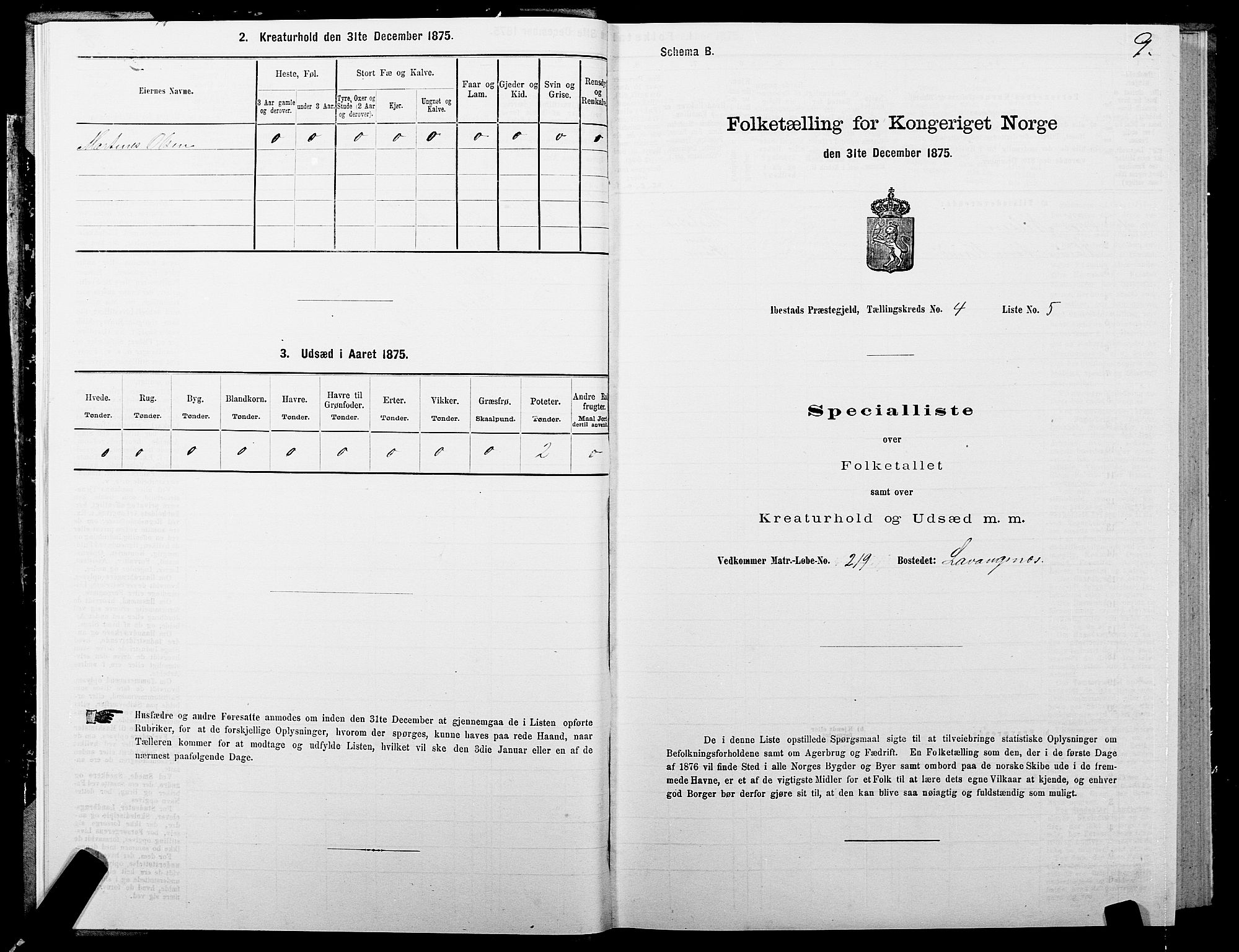 SATØ, 1875 census for 1917P Ibestad, 1875, p. 3009