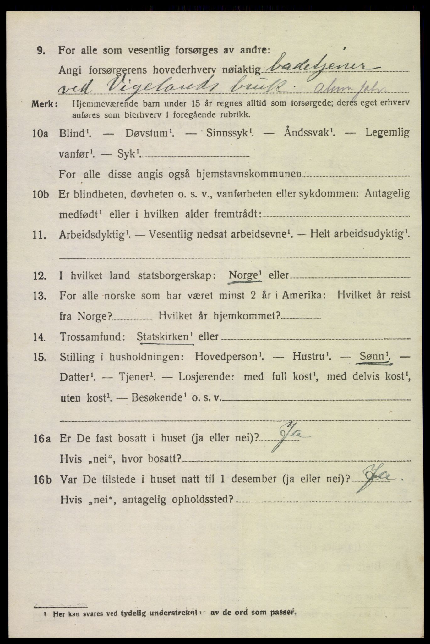 SAK, 1920 census for Vennesla, 1920, p. 4541