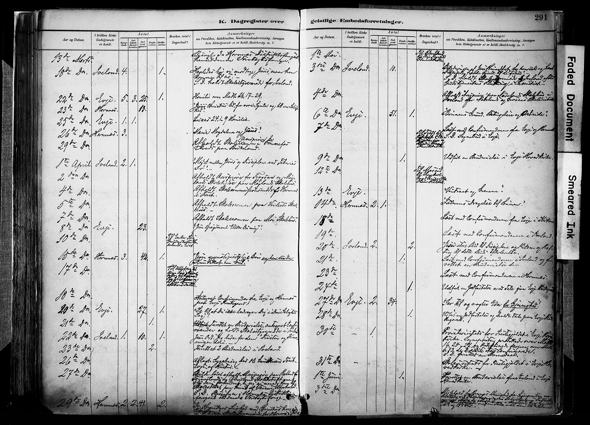 Evje sokneprestkontor, AV/SAK-1111-0008/F/Fa/Faa/L0007: Parish register (official) no. A 7, 1884-1909, p. 291