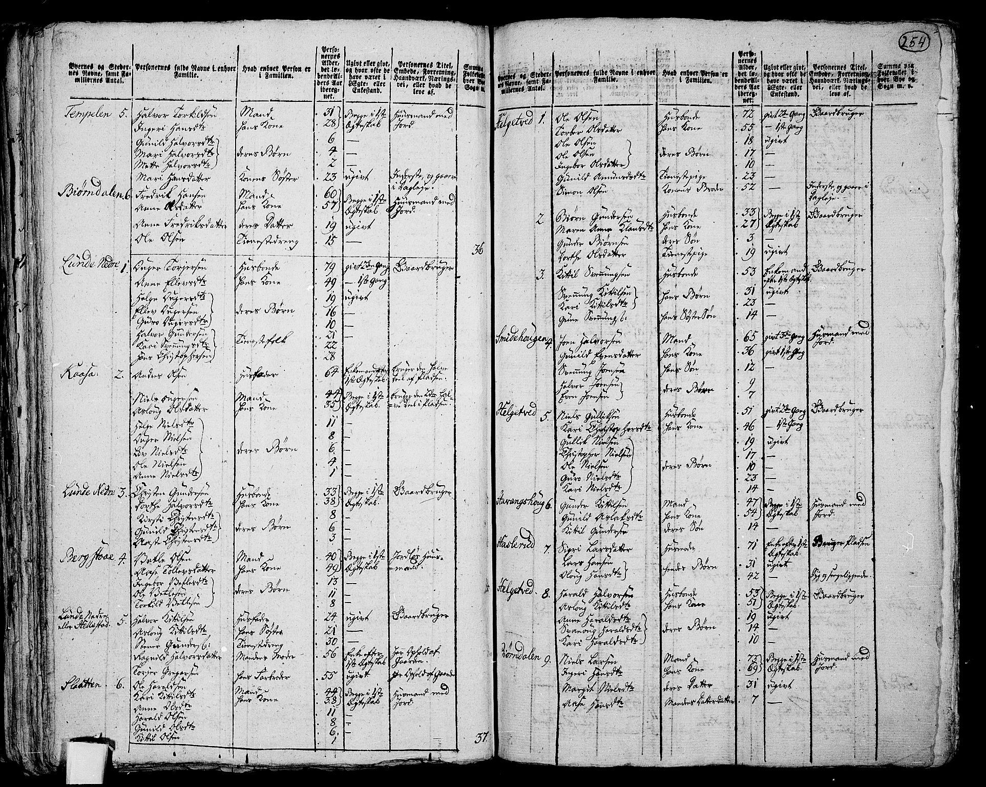 RA, 1801 census for 0821P Bø, 1801, p. 253b-254a