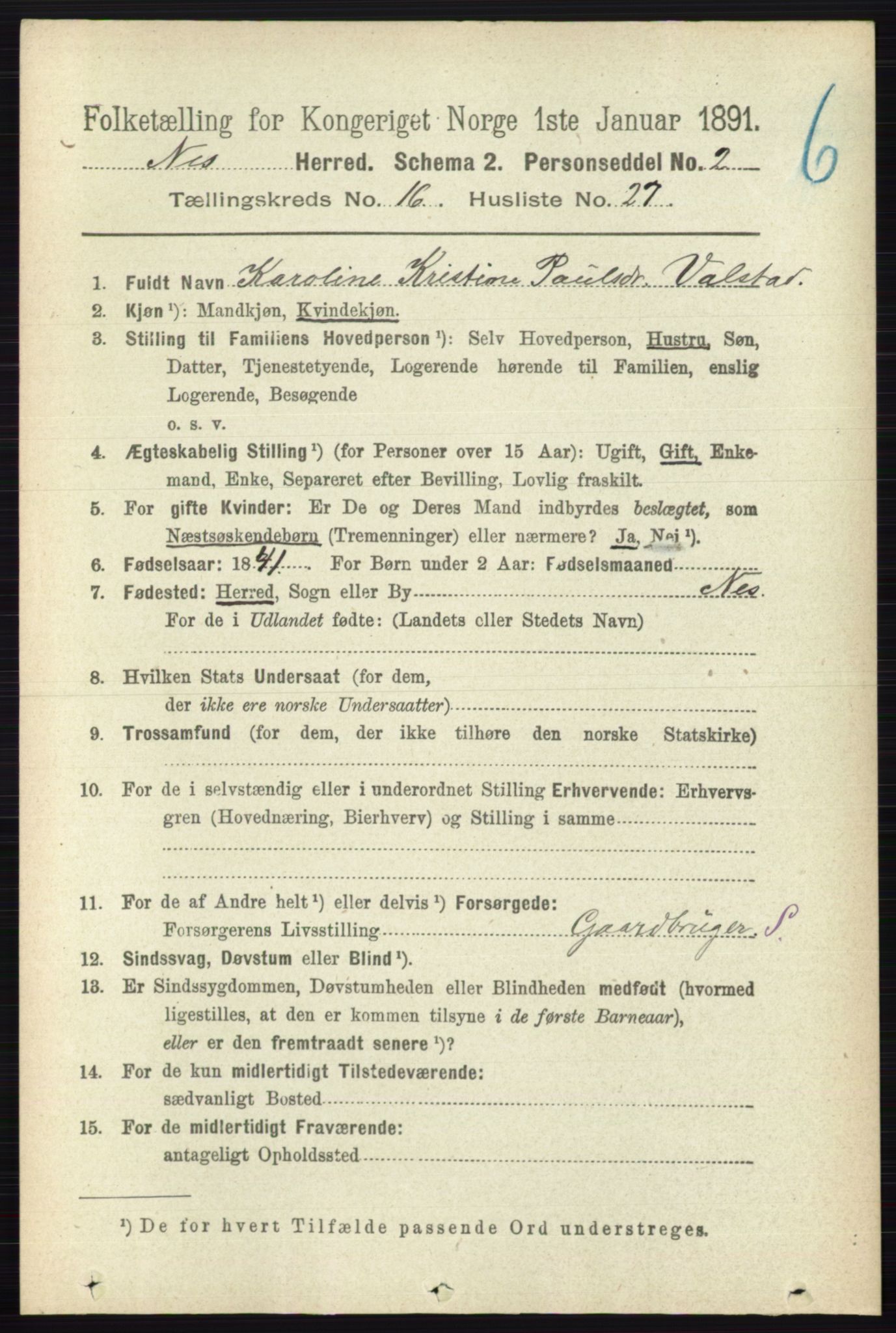 RA, 1891 census for 0236 Nes, 1891, p. 9711