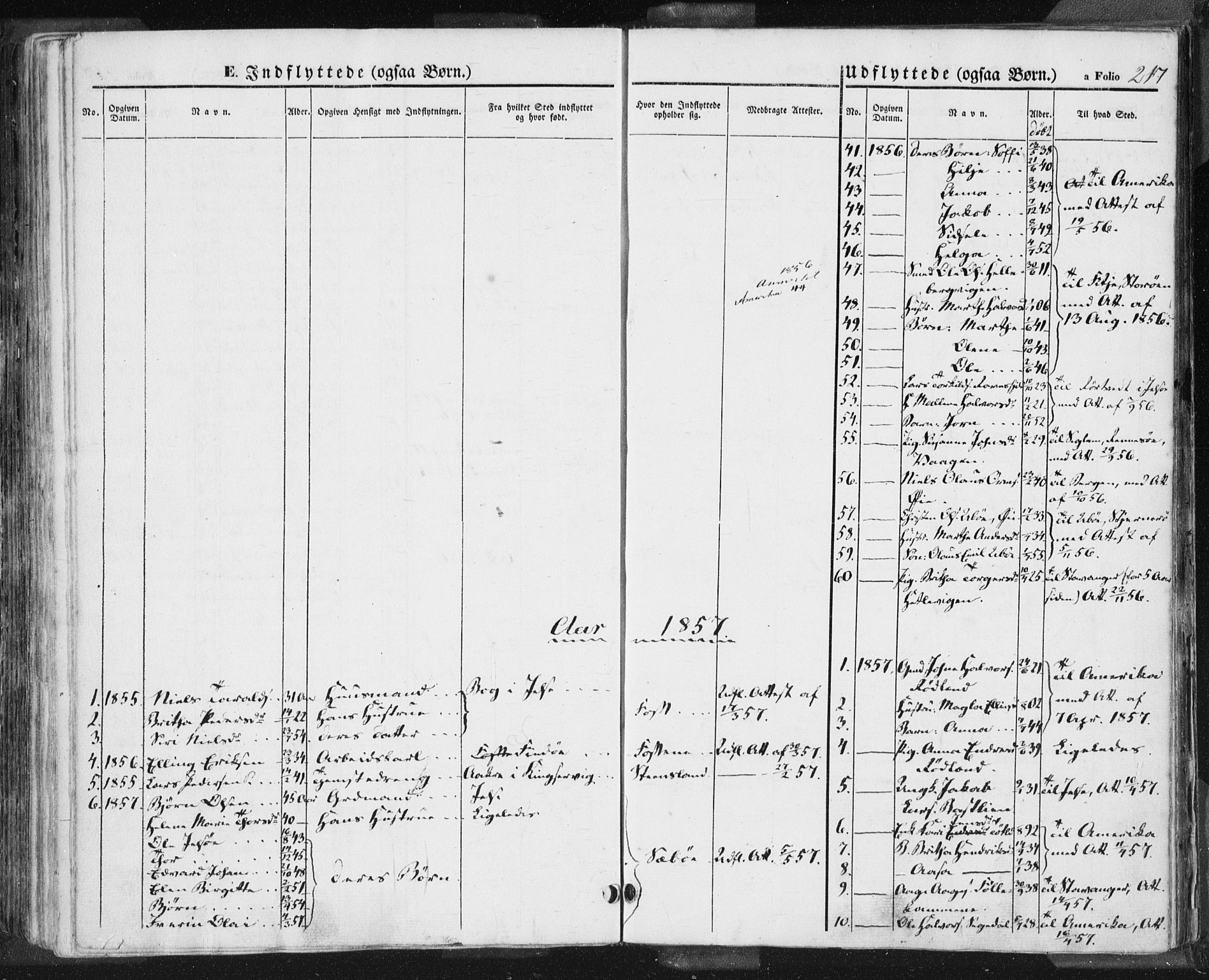 Hjelmeland sokneprestkontor, AV/SAST-A-101843/01/IV/L0009: Parish register (official) no. A 9, 1846-1860, p. 217