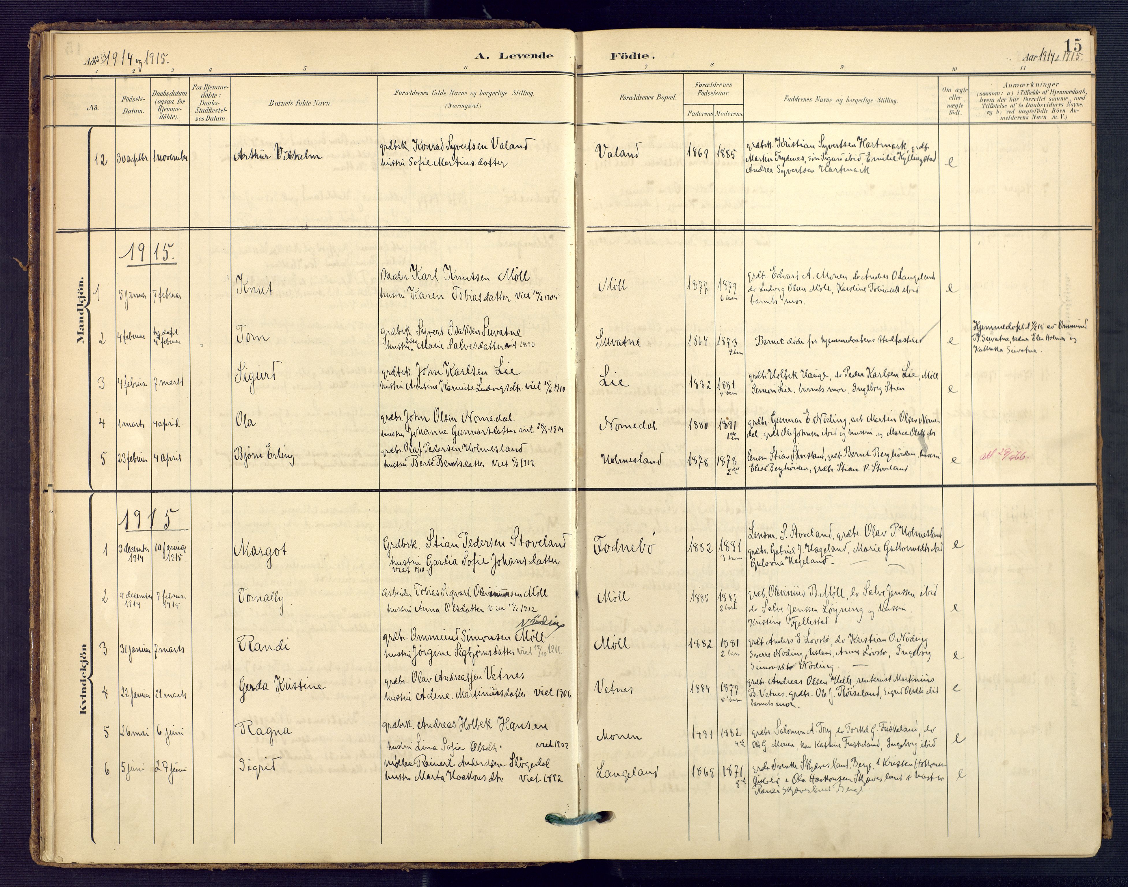 Holum sokneprestkontor, SAK/1111-0022/F/Fa/Faa/L0008: Parish register (official) no. A 8, 1908-1929, p. 15