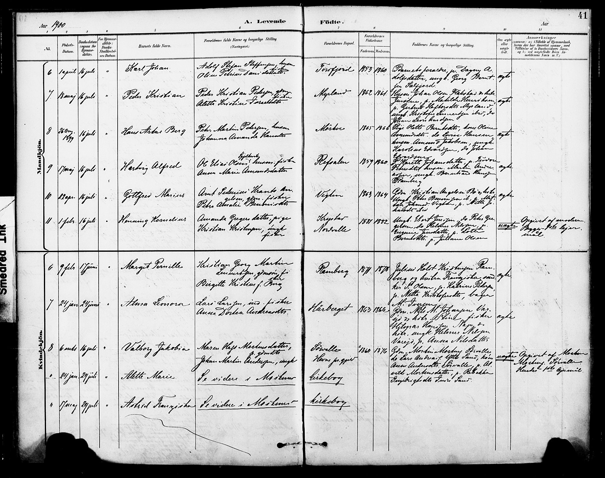 Ministerialprotokoller, klokkerbøker og fødselsregistre - Nordland, AV/SAT-A-1459/885/L1205: Parish register (official) no. 885A06, 1892-1905, p. 41