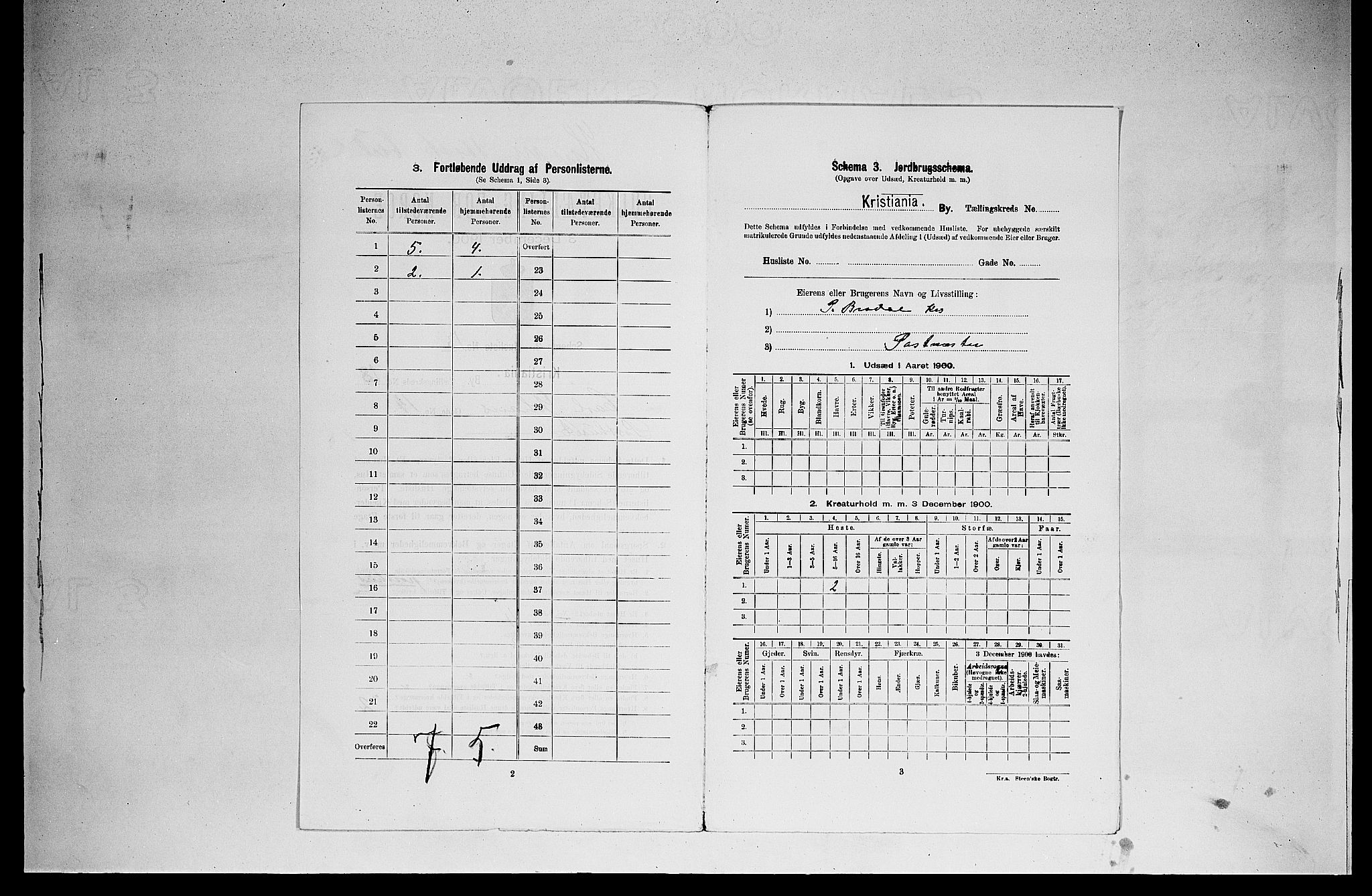 SAO, 1900 census for Kristiania, 1900, p. 11393