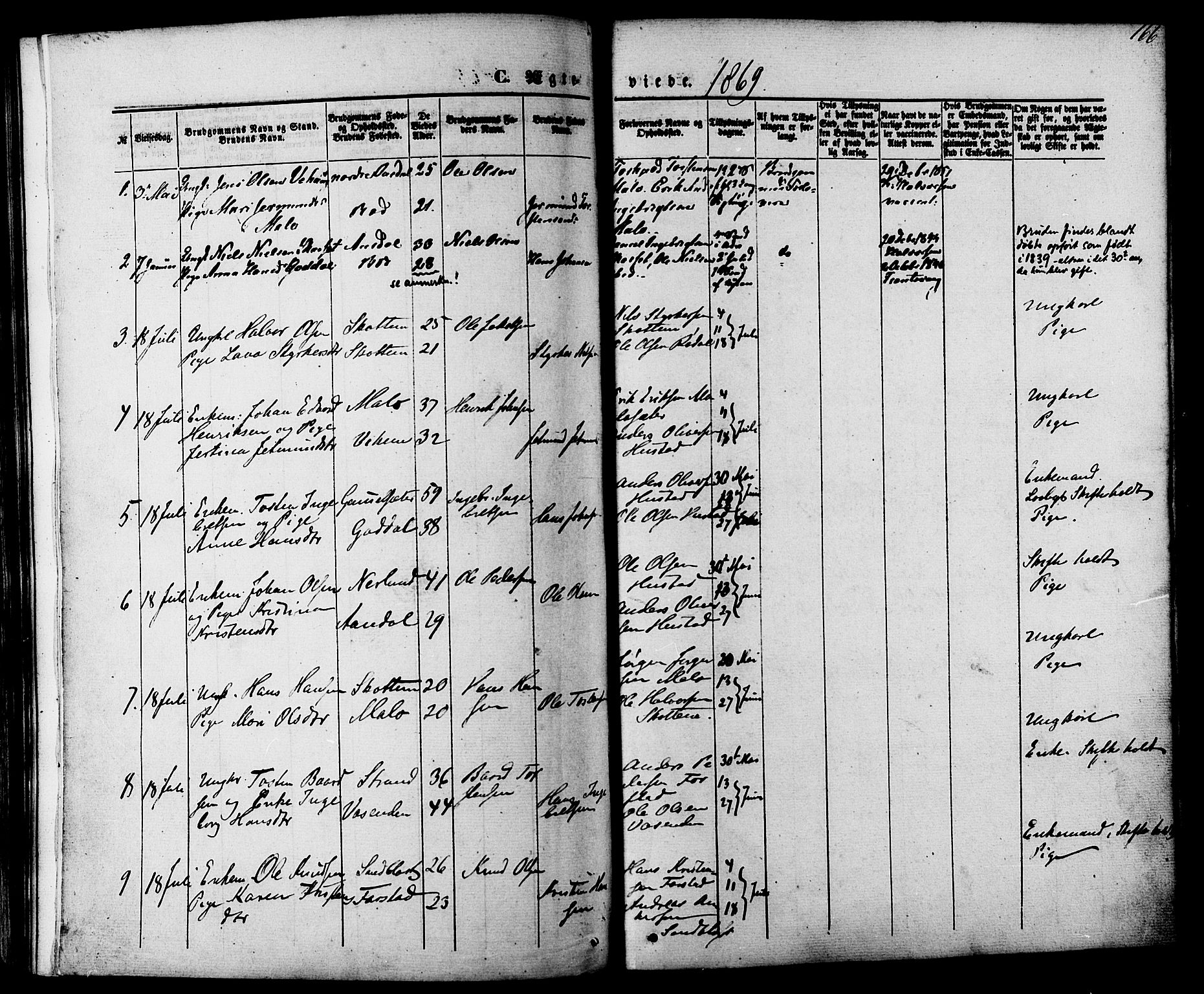 Ministerialprotokoller, klokkerbøker og fødselsregistre - Møre og Romsdal, AV/SAT-A-1454/566/L0768: Parish register (official) no. 566A07, 1869-1881, p. 166