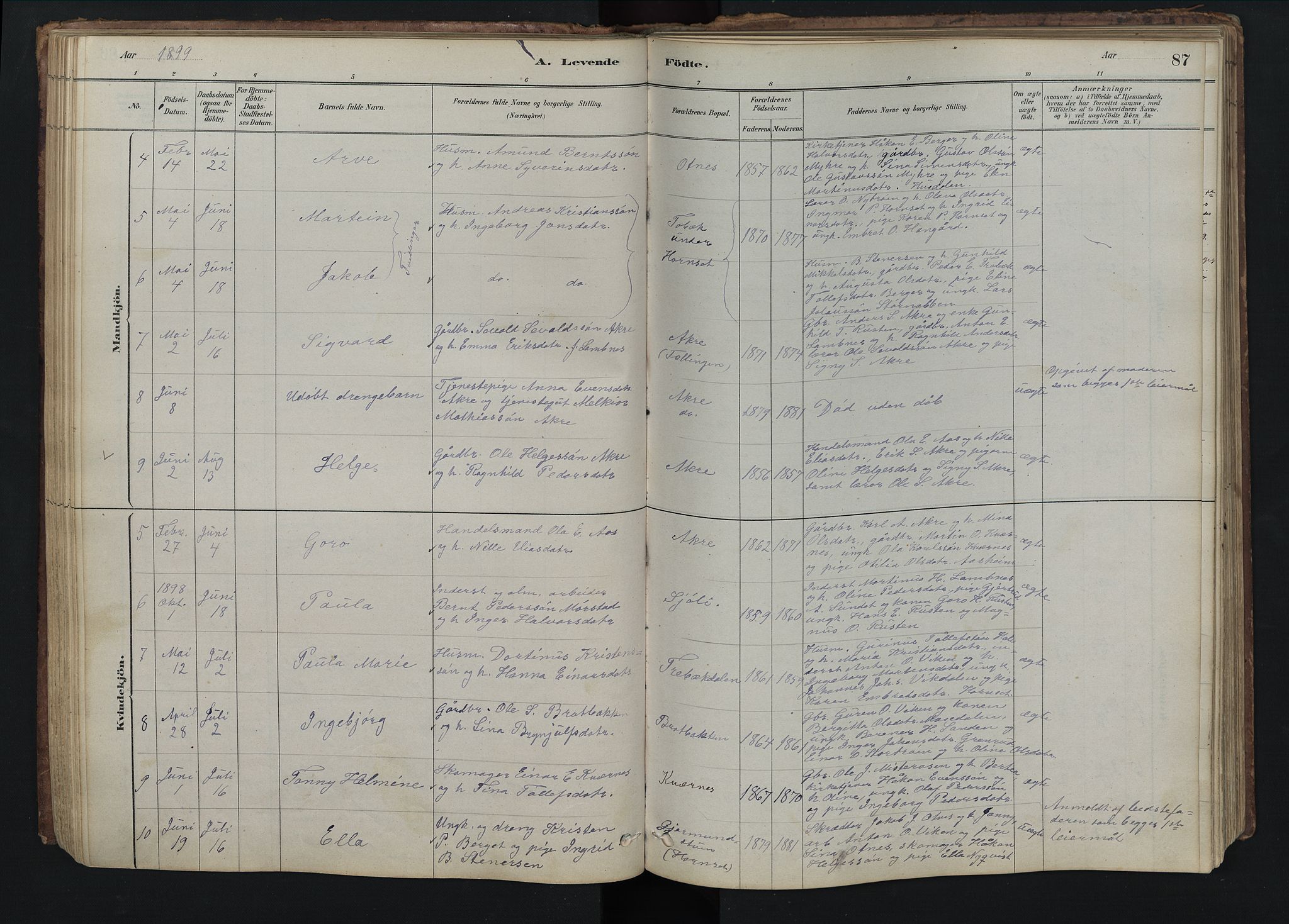 Rendalen prestekontor, SAH/PREST-054/H/Ha/Hab/L0009: Parish register (copy) no. 9, 1879-1902, p. 87