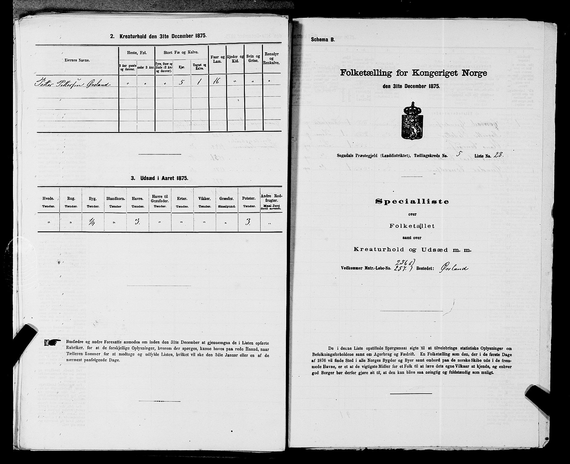 SAST, 1875 census for 1111L Sokndal/Sokndal, 1875, p. 422