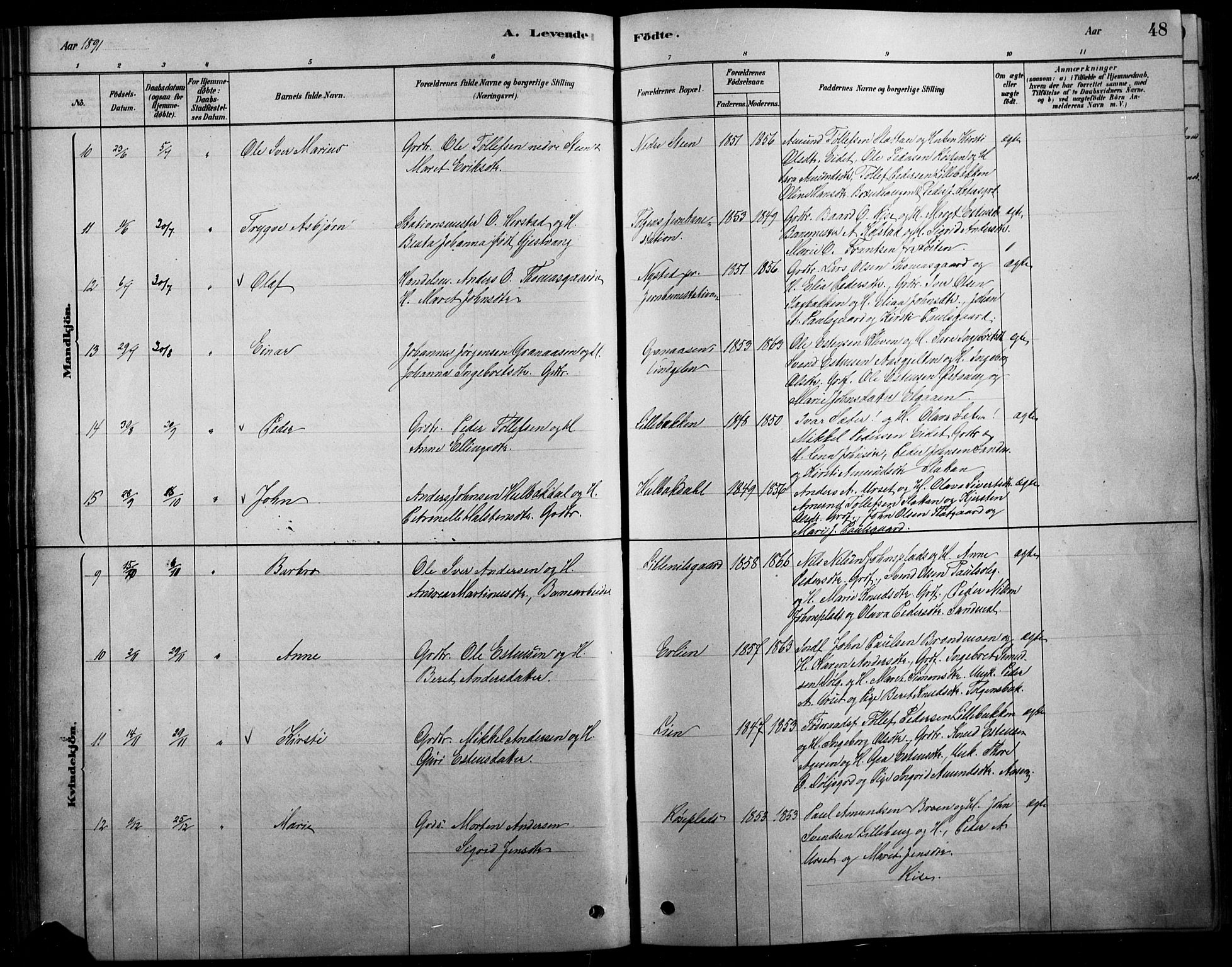 Tolga prestekontor, SAH/PREST-062/L/L0007: Parish register (copy) no. 7, 1878-1919, p. 48