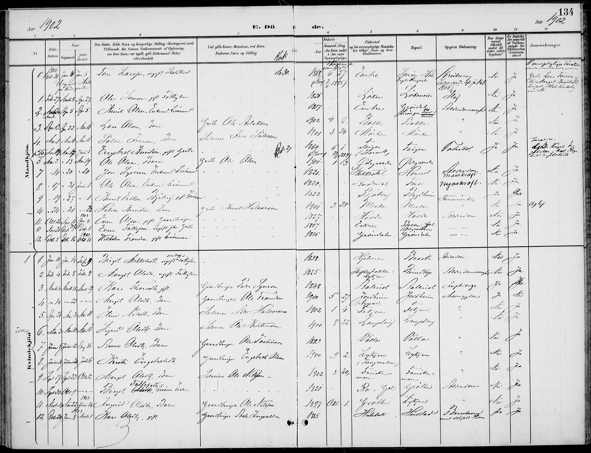 Gol kirkebøker, SAKO/A-226/F/Fb/L0002: Parish register (official) no. II 2, 1900-1921, p. 134
