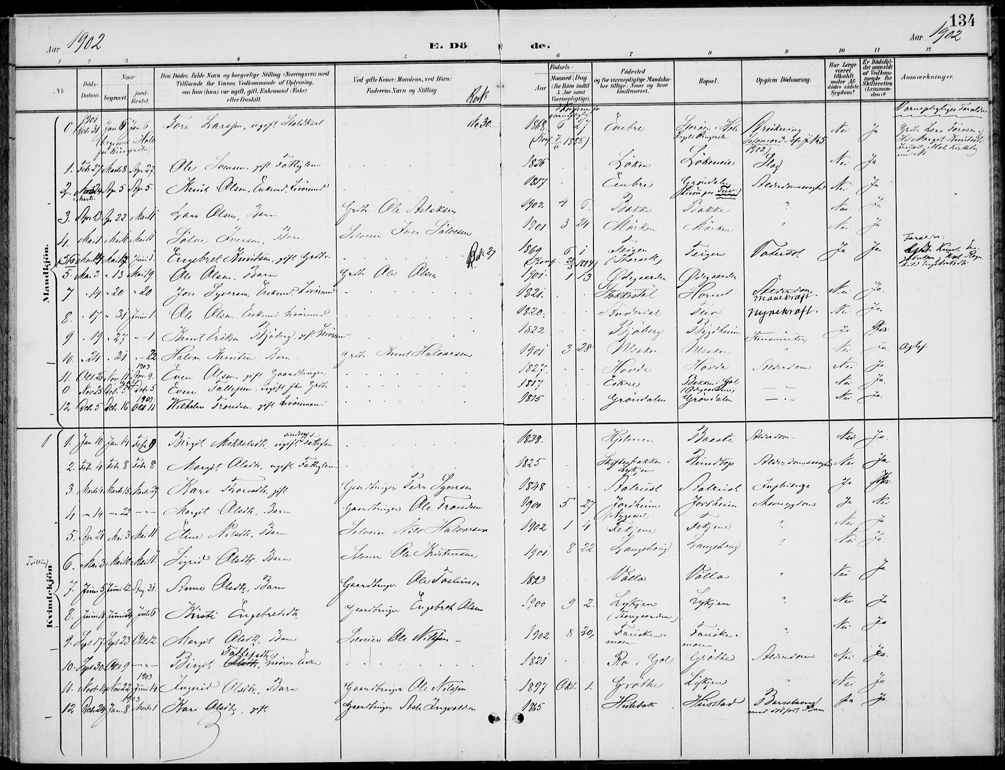 Gol kirkebøker, AV/SAKO-A-226/F/Fb/L0002: Parish register (official) no. II 2, 1900-1921, p. 134