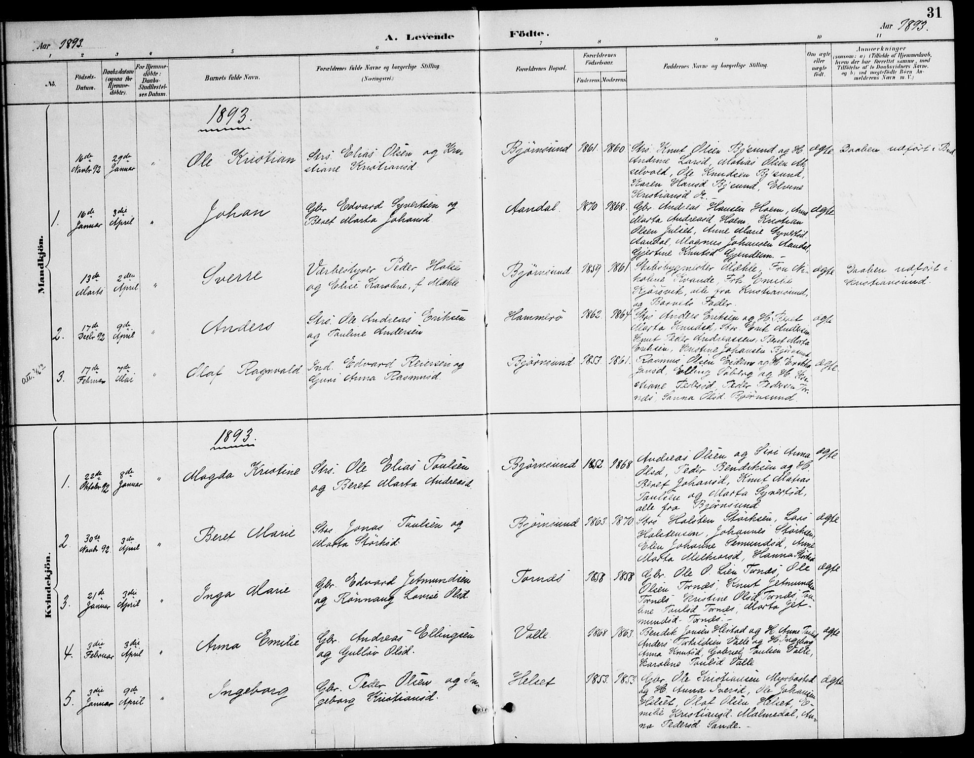 Ministerialprotokoller, klokkerbøker og fødselsregistre - Møre og Romsdal, AV/SAT-A-1454/565/L0750: Parish register (official) no. 565A04, 1887-1905, p. 31