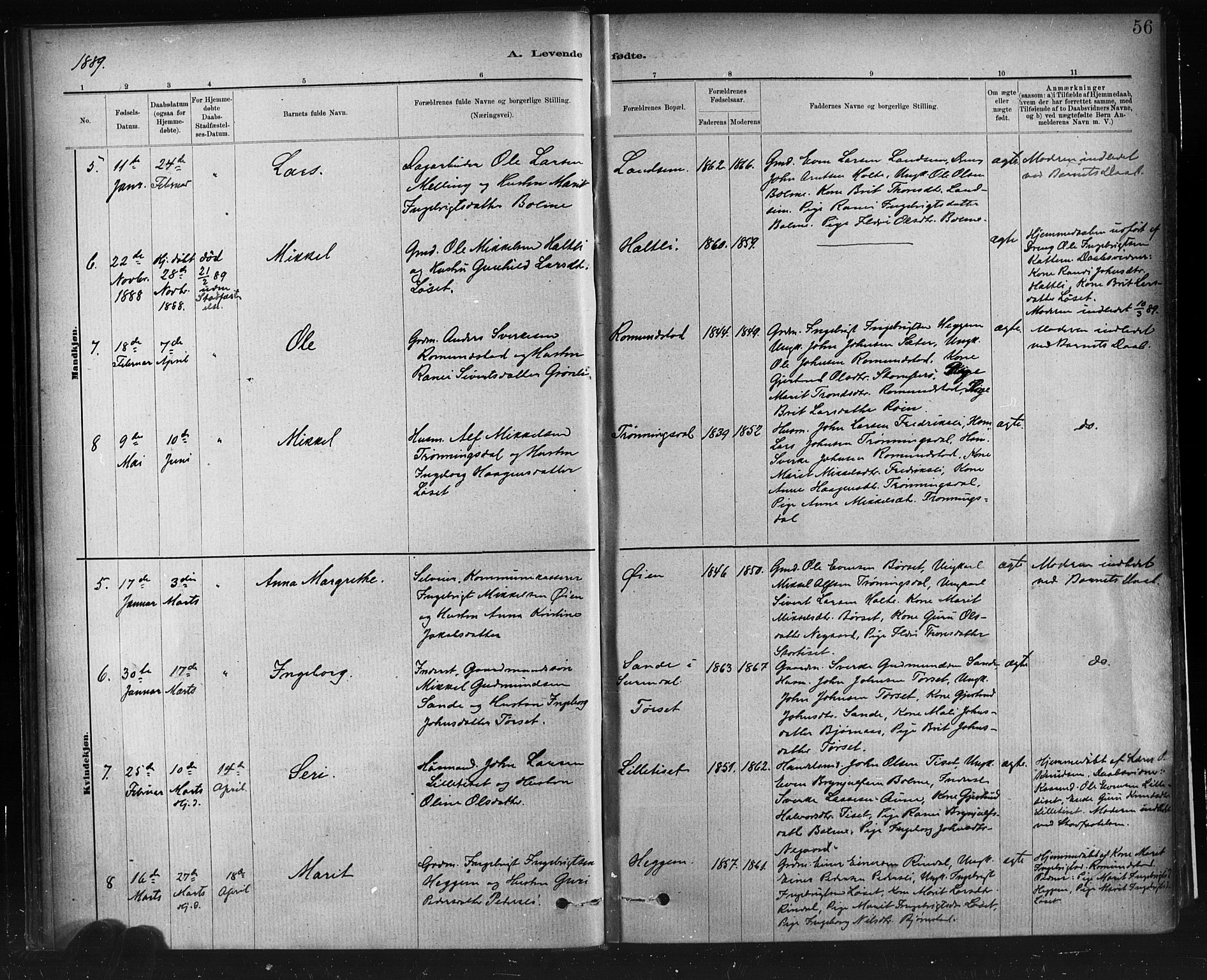 Ministerialprotokoller, klokkerbøker og fødselsregistre - Møre og Romsdal, AV/SAT-A-1454/598/L1069: Parish register (official) no. 598A03, 1882-1895, p. 56