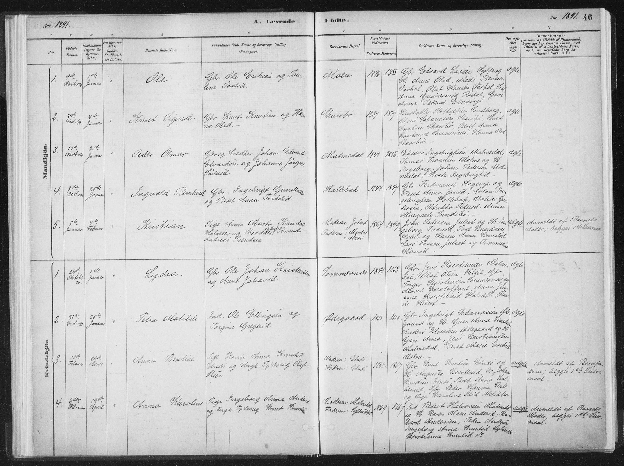 Ministerialprotokoller, klokkerbøker og fødselsregistre - Møre og Romsdal, AV/SAT-A-1454/564/L0740: Parish register (official) no. 564A01, 1880-1899, p. 46