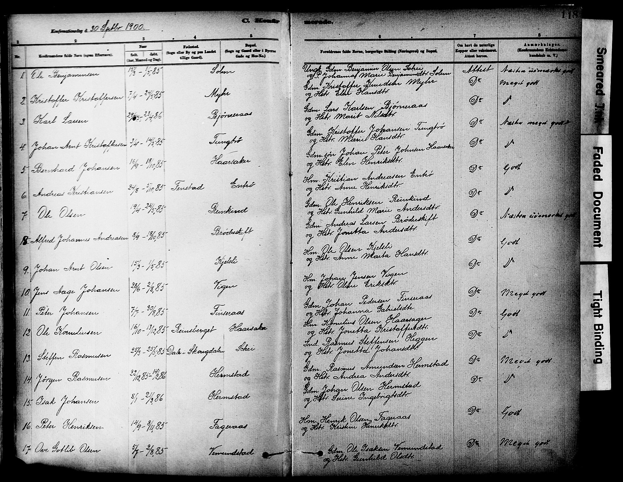 Ministerialprotokoller, klokkerbøker og fødselsregistre - Sør-Trøndelag, SAT/A-1456/646/L0615: Parish register (official) no. 646A13, 1885-1900, p. 118