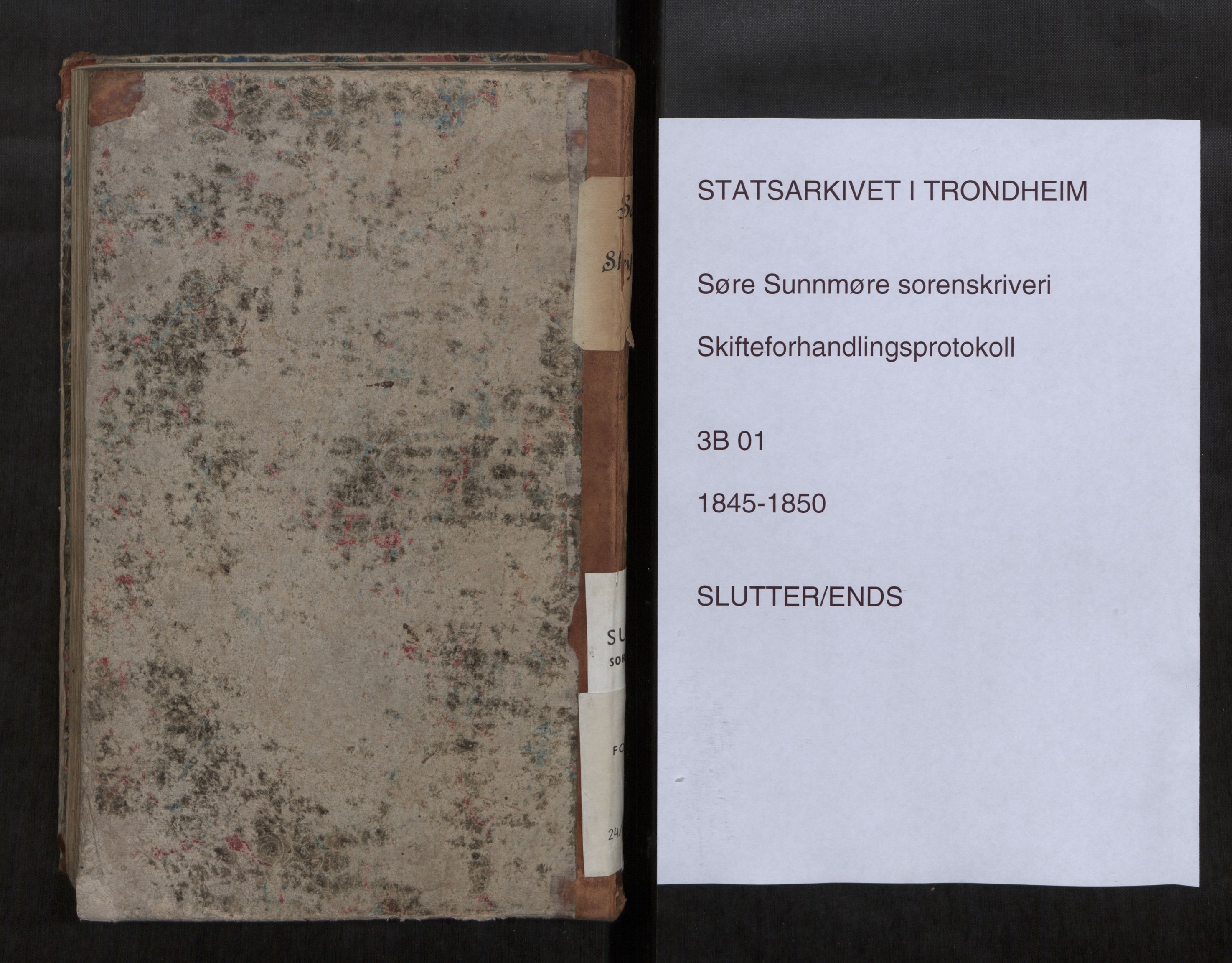 Søre Sunnmøre sorenskriveri, AV/SAT-A-4122/1/3/3B/L0001: Skiftebehandlings- / Skifteforhandlingsprotokollar, 1845-1850