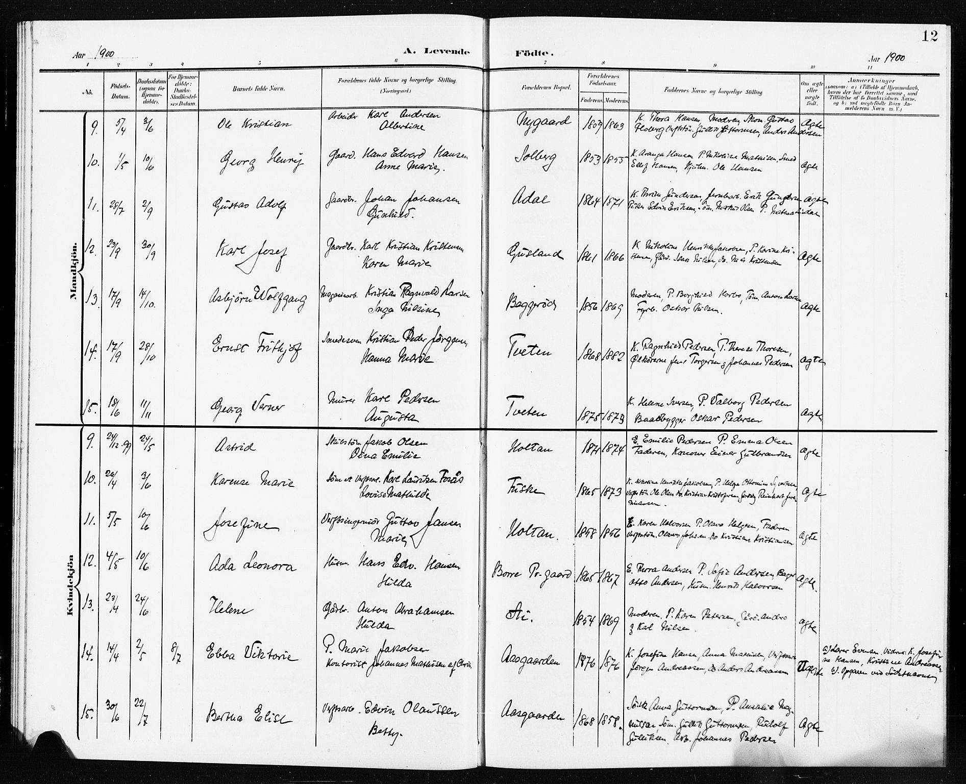 Borre kirkebøker, SAKO/A-338/G/Ga/L0005: Parish register (copy) no. I 5, 1898-1910, p. 12