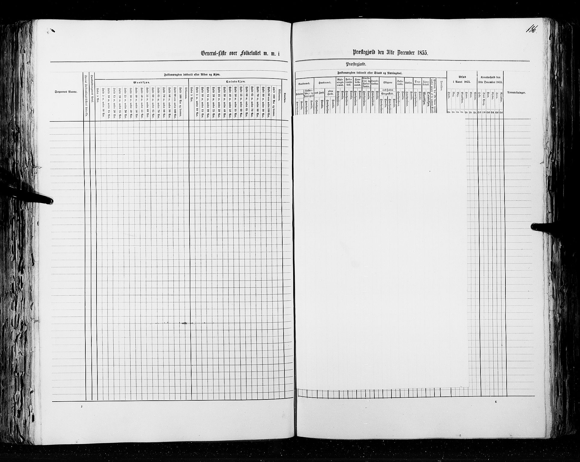 RA, Census 1855, vol. 2: Kristians amt, Buskerud amt og Jarlsberg og Larvik amt, 1855, p. 186