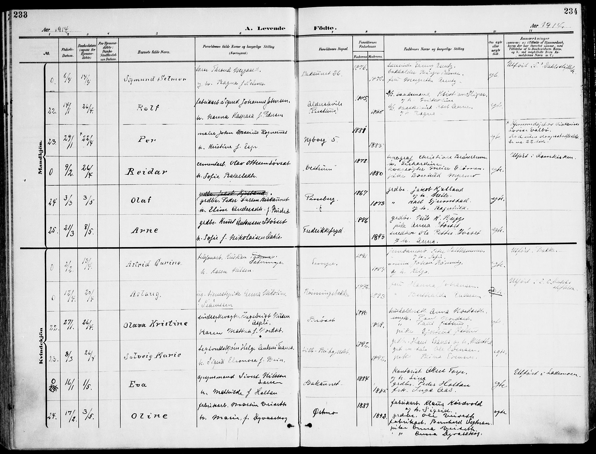 Ministerialprotokoller, klokkerbøker og fødselsregistre - Sør-Trøndelag, SAT/A-1456/607/L0320: Parish register (official) no. 607A04, 1907-1915, p. 233-234