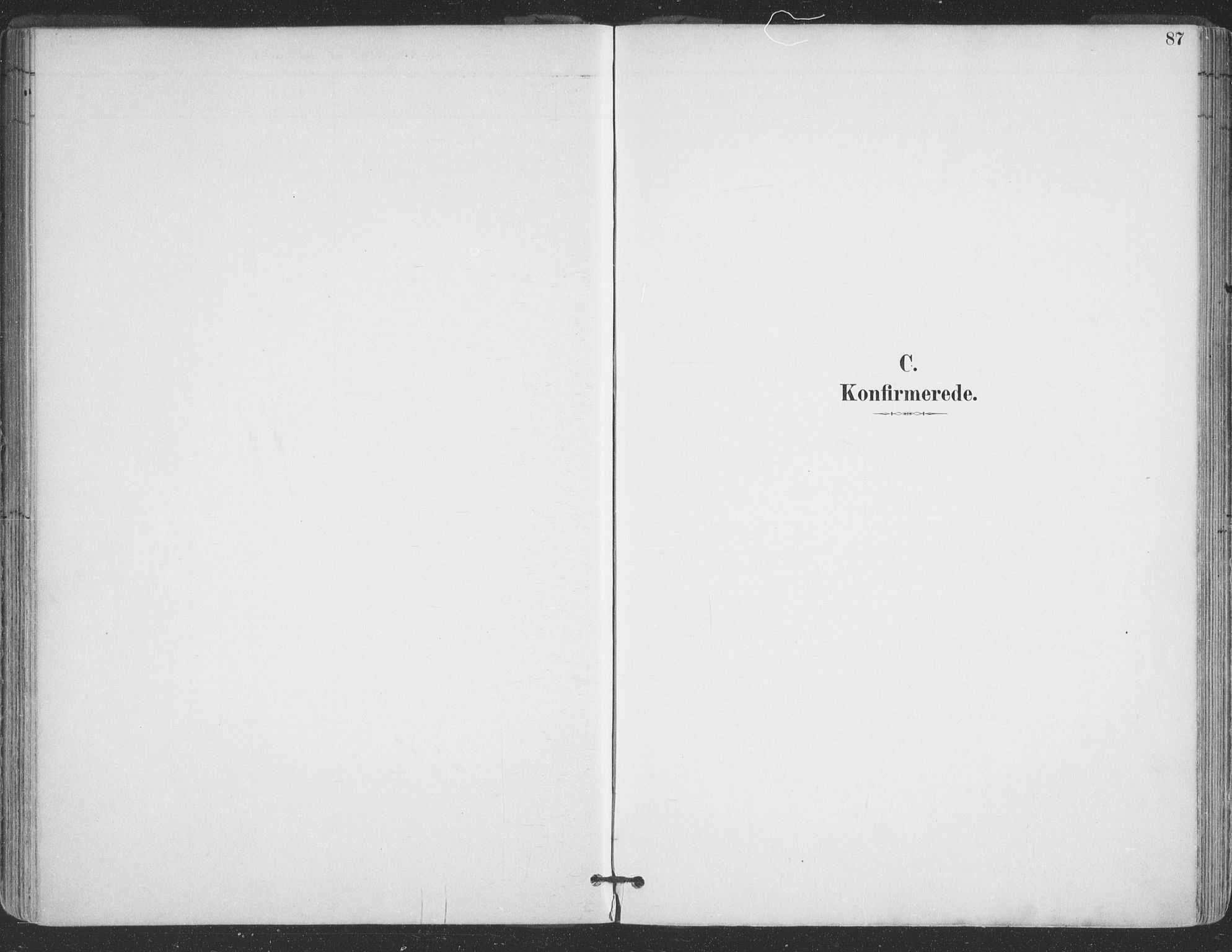 Vadsø sokneprestkontor, SATØ/S-1325/H/Ha/L0006kirke: Parish register (official) no. 6, 1885-1895, p. 87