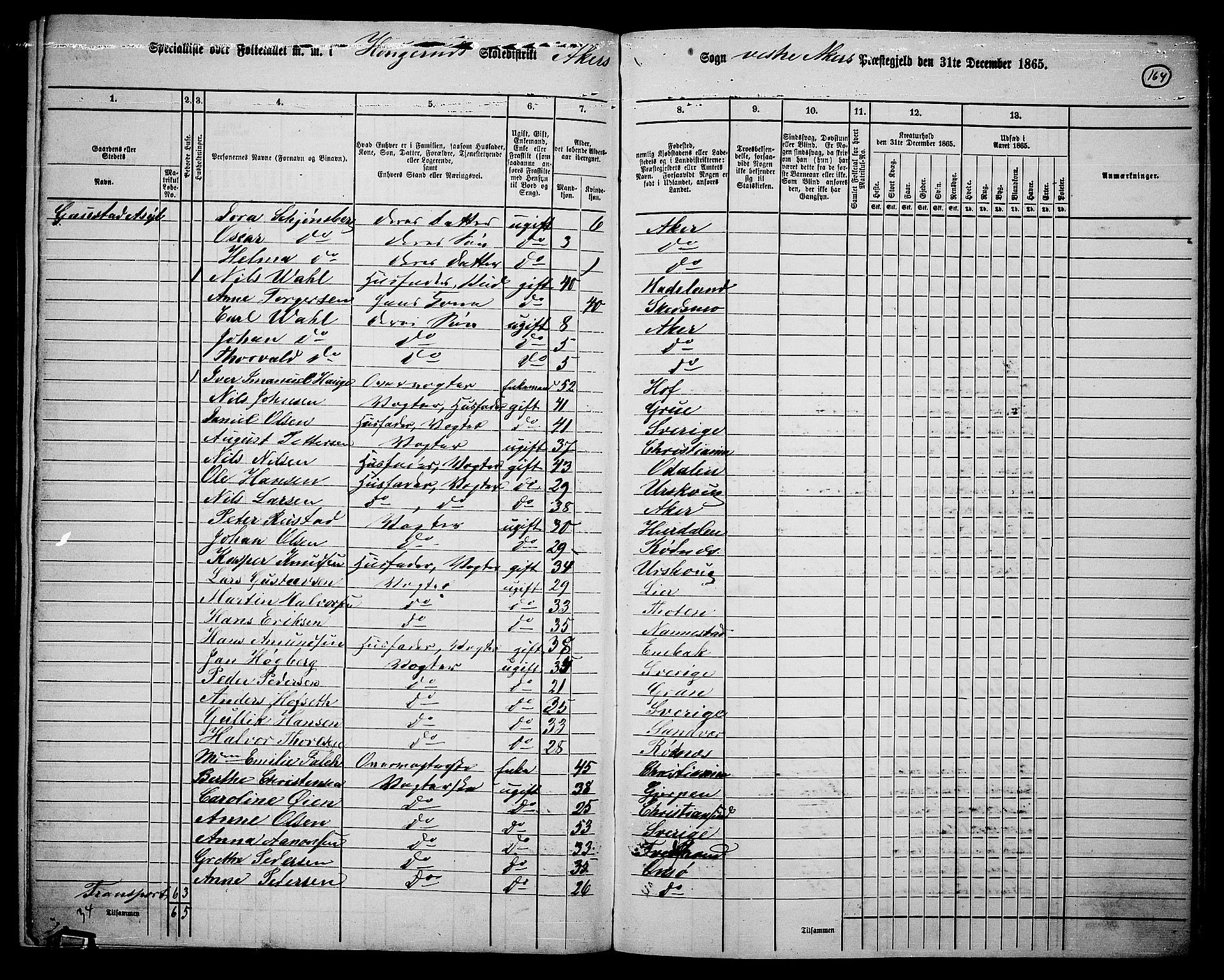 RA, 1865 census for Vestre Aker, 1865, p. 145