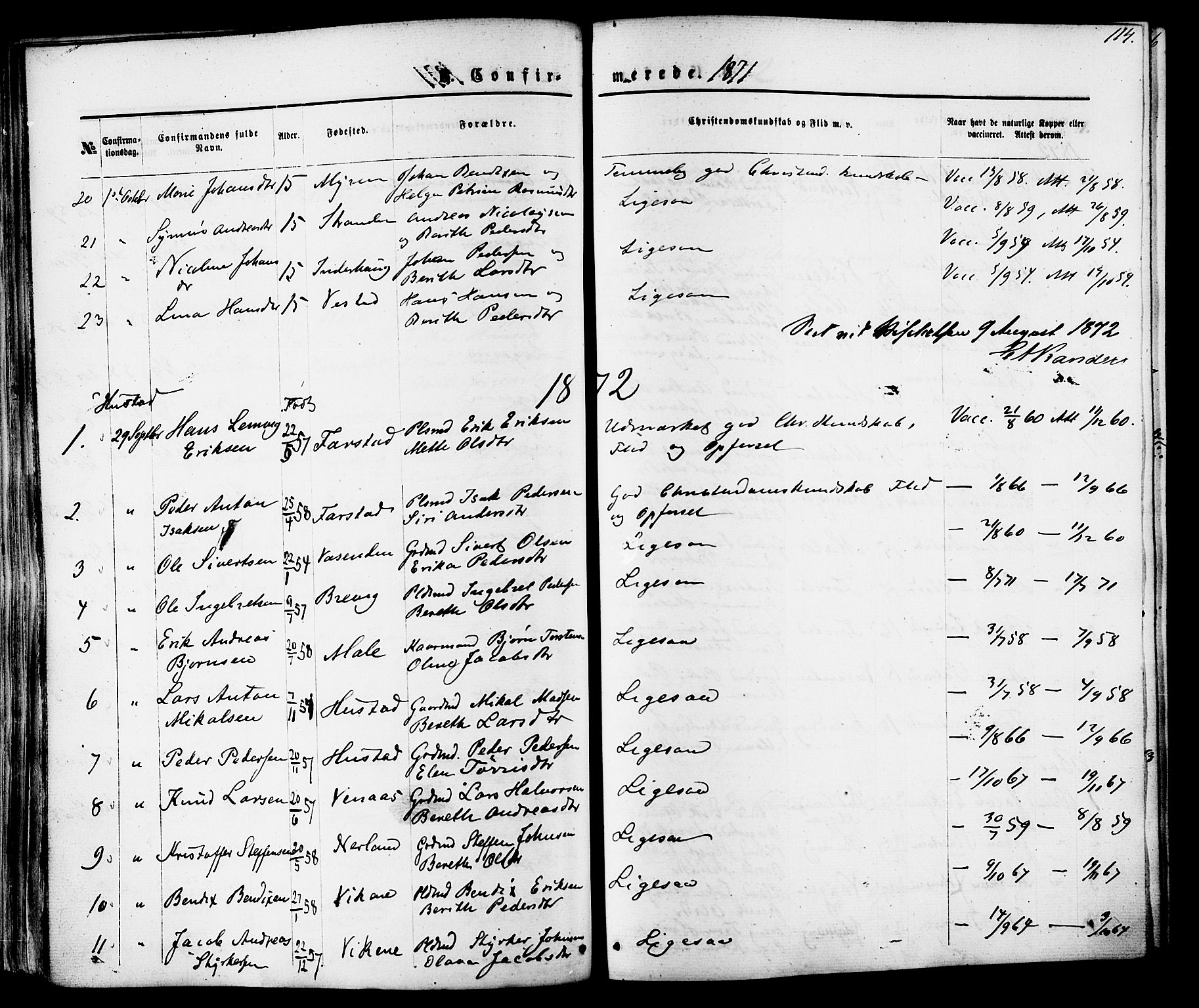 Ministerialprotokoller, klokkerbøker og fødselsregistre - Møre og Romsdal, AV/SAT-A-1454/566/L0768: Parish register (official) no. 566A07, 1869-1881, p. 114