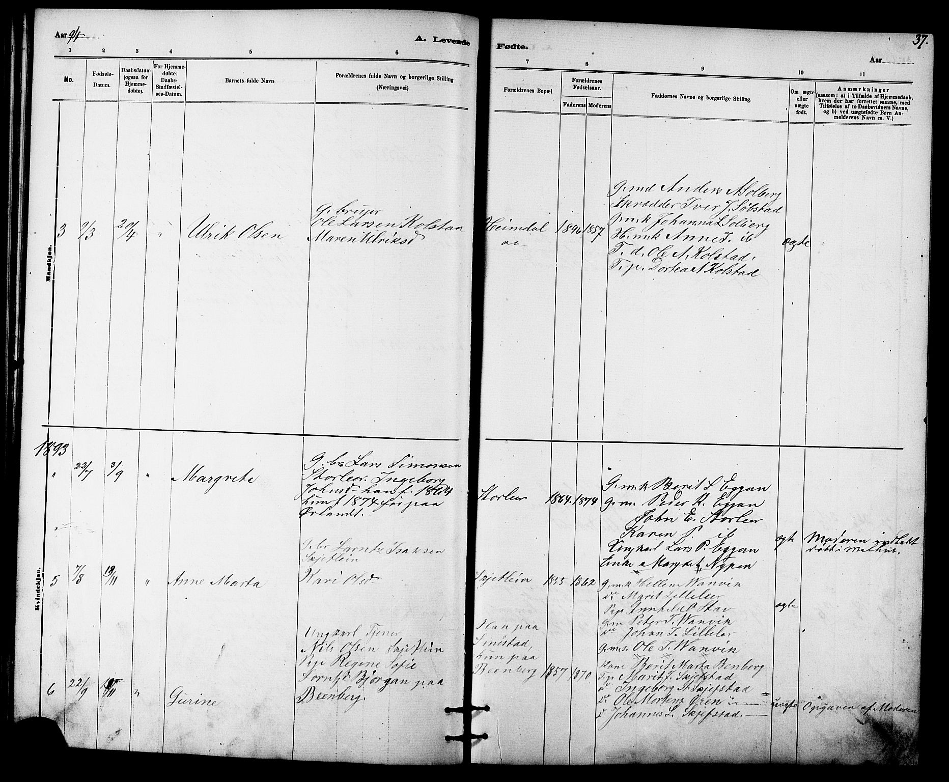 Ministerialprotokoller, klokkerbøker og fødselsregistre - Sør-Trøndelag, SAT/A-1456/613/L0395: Parish register (copy) no. 613C03, 1887-1909, p. 37