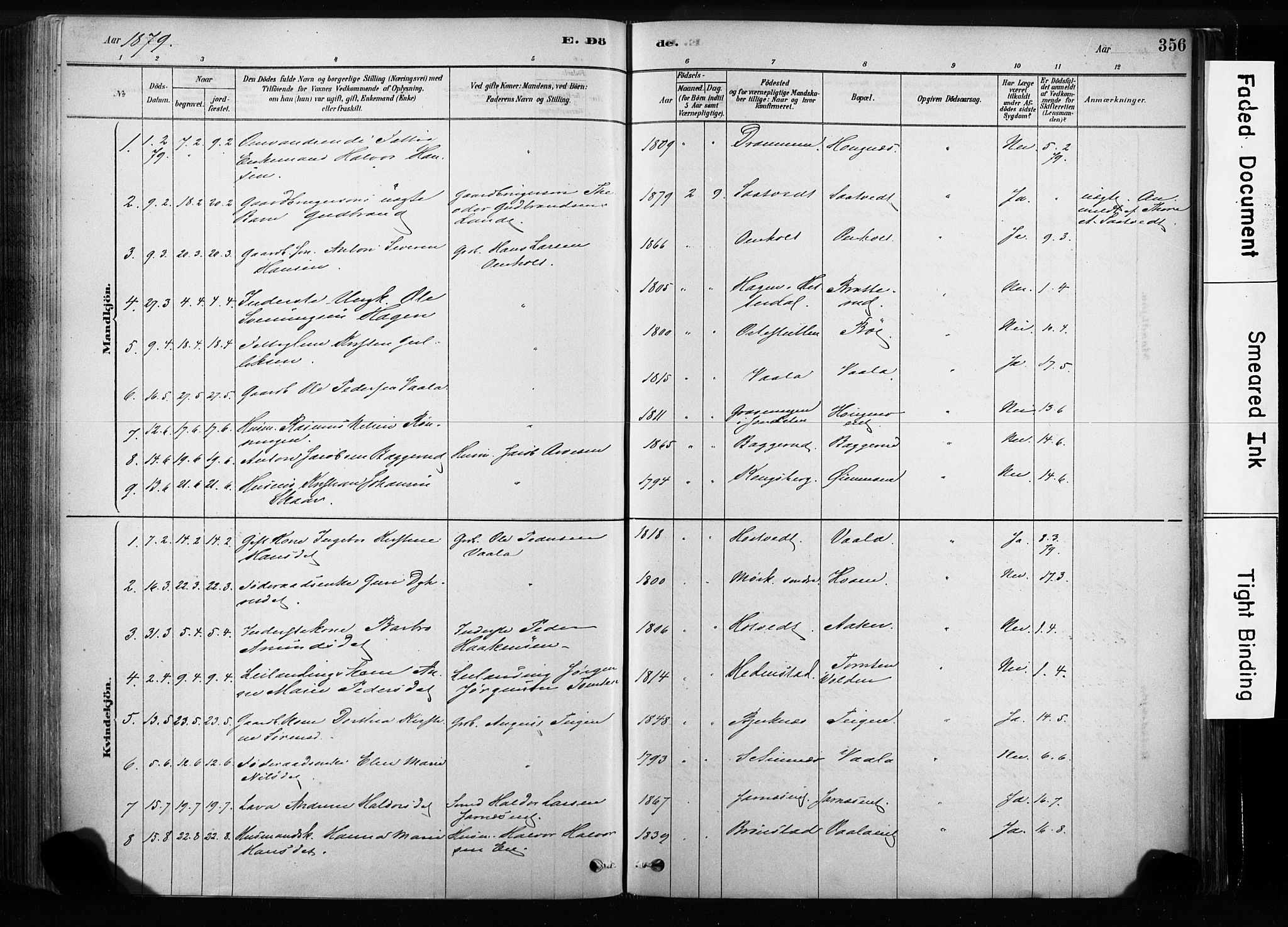 Sandsvær kirkebøker, SAKO/A-244/F/Fb/L0001: Parish register (official) no. II 1, 1878-1906, p. 356