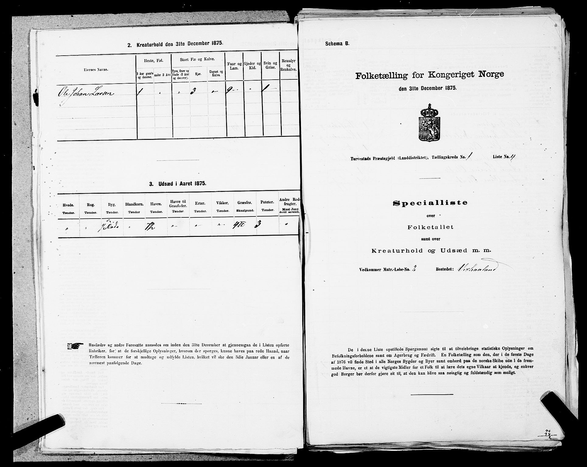 SAST, 1875 census for 1152L Torvastad/Torvastad, Skåre og Utsira, 1875, p. 67