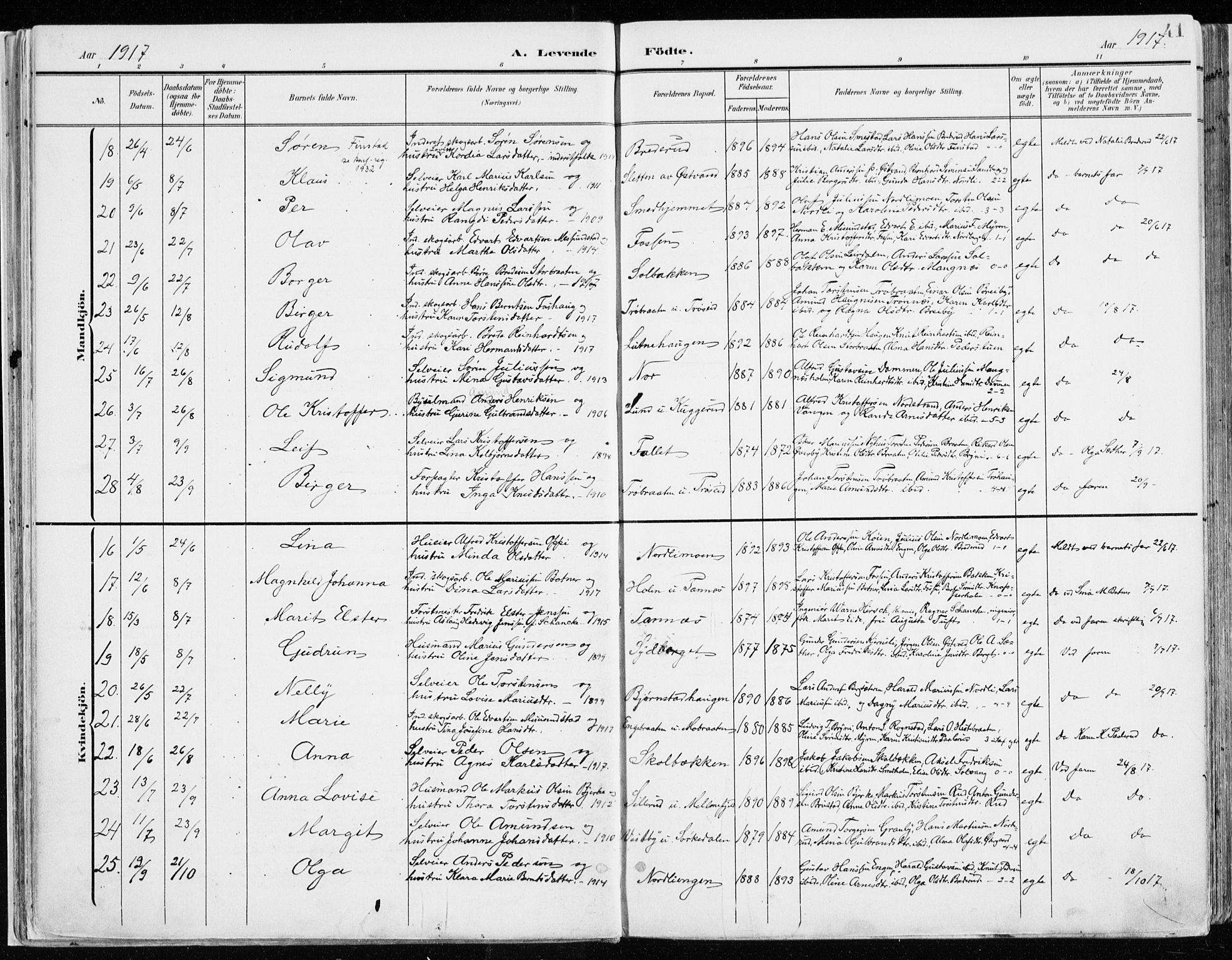 Nord-Odal prestekontor, AV/SAH-PREST-032/H/Ha/Haa/L0009: Parish register (official) no. 9, 1902-1926, p. 41